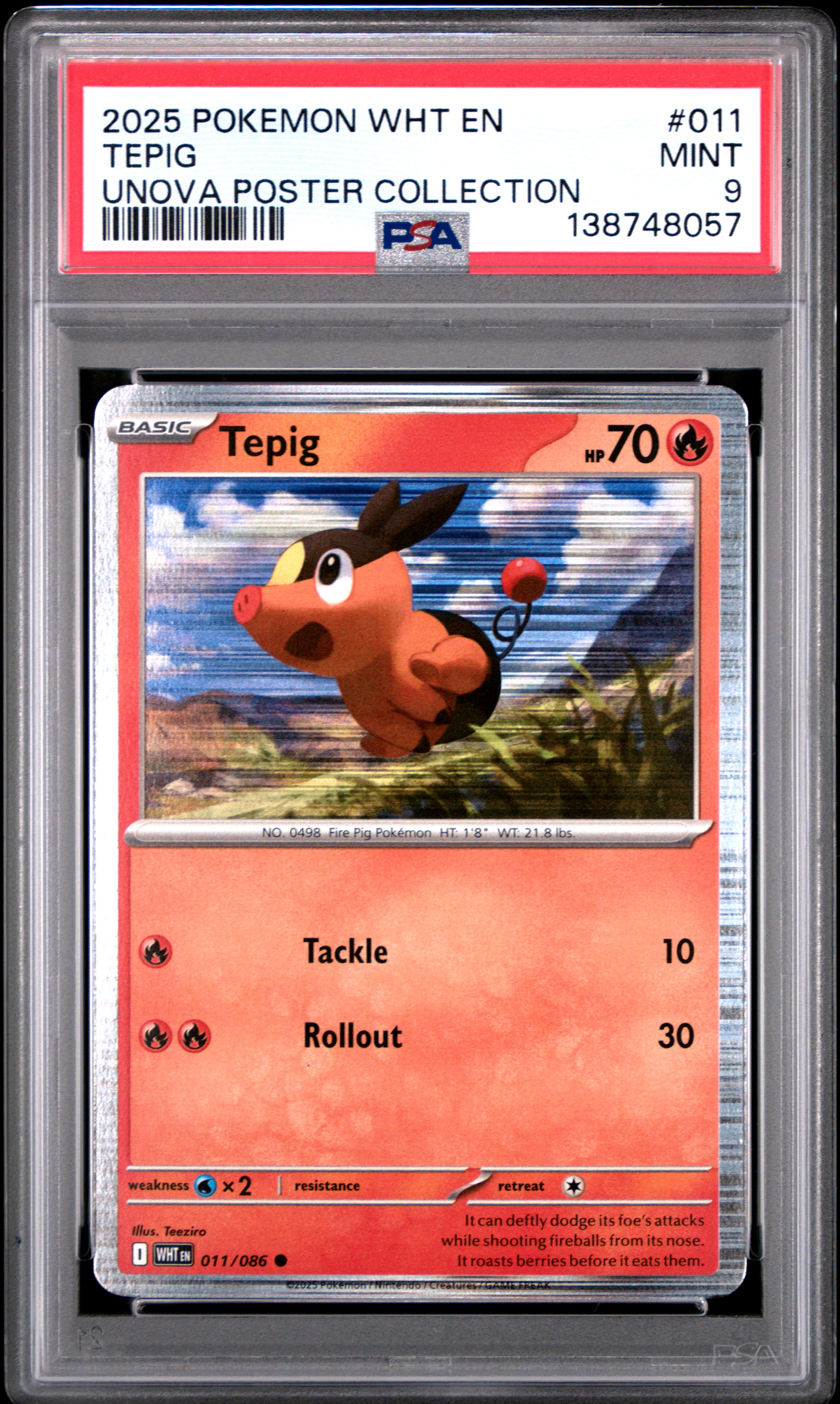 Tepig