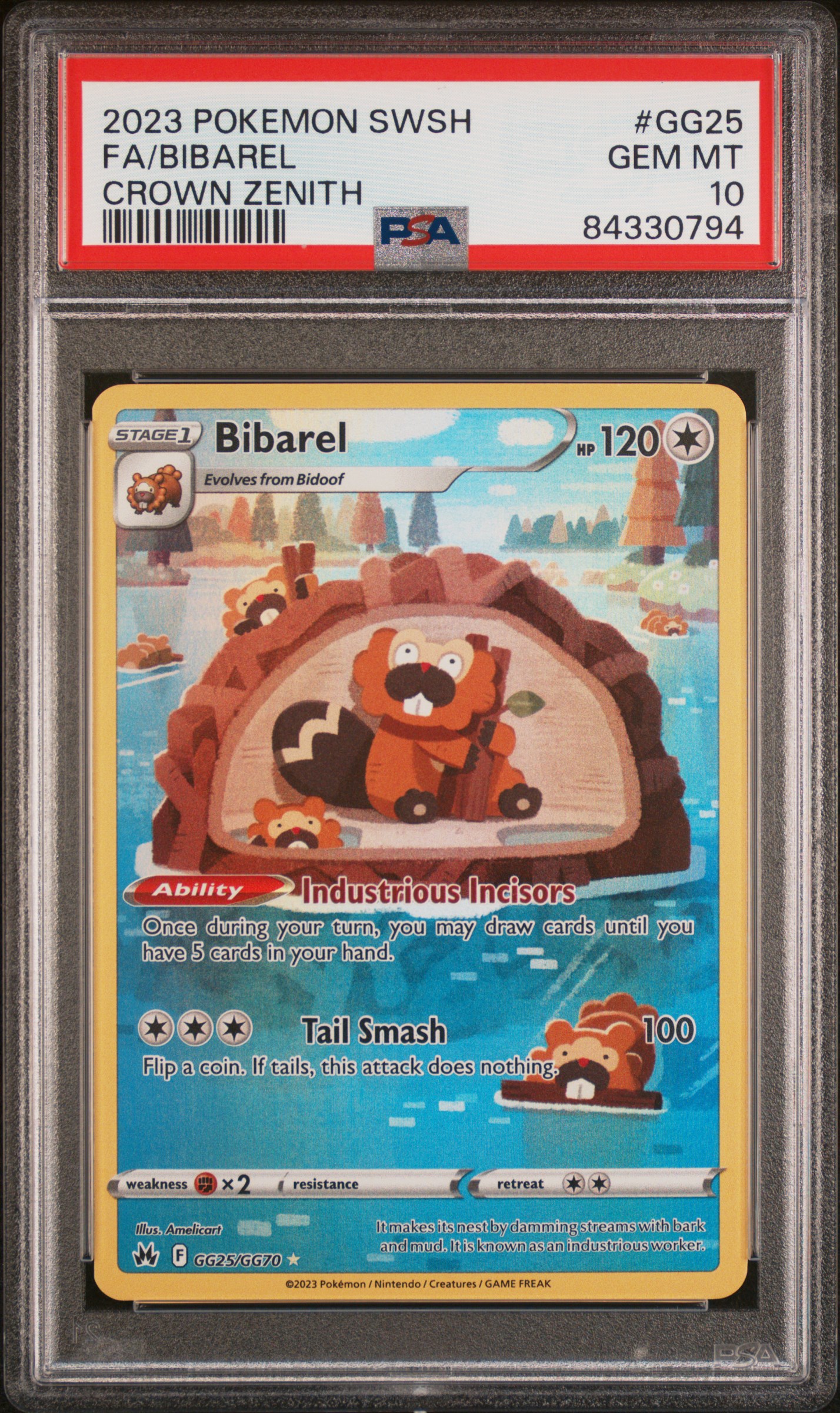 Full Art/Bibarel