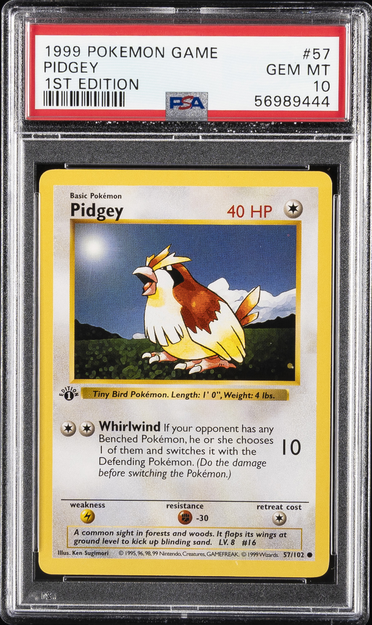Pidgey 1st Edition