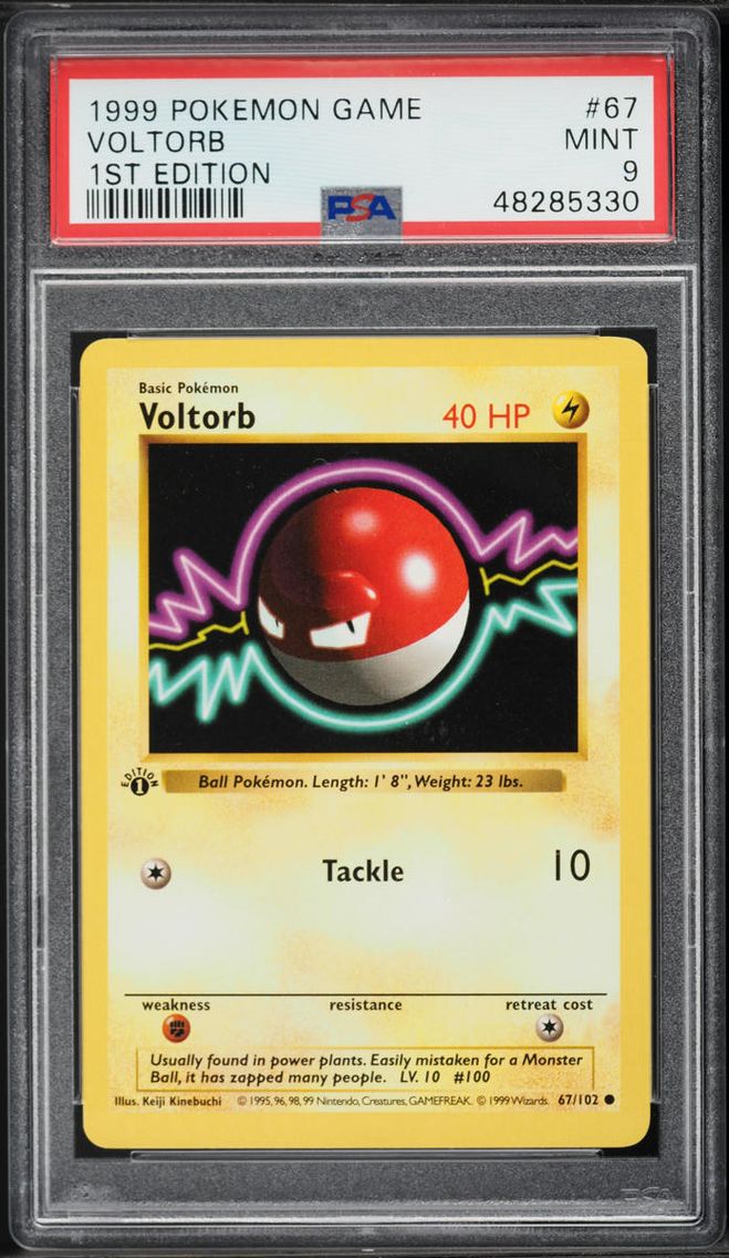 1999 Pokemon Base Set Shadowless 1st Edition Voltorb #67 PSA 9 MINT
