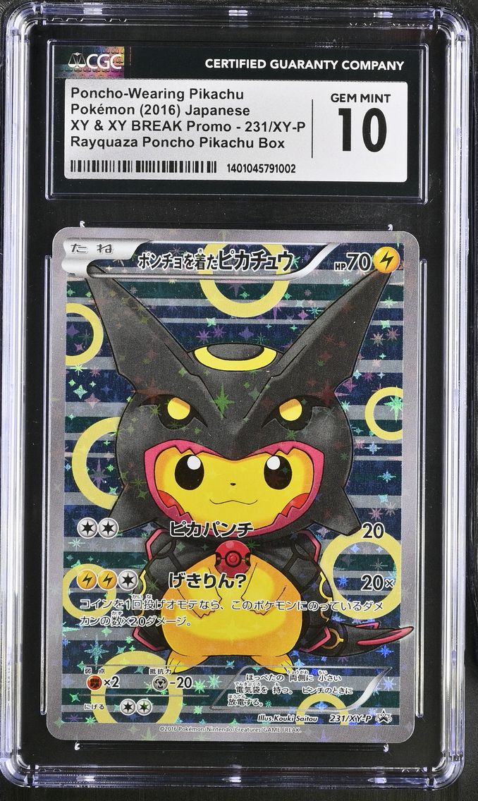 2016 #231/XY-P Poncho-Wearing Pi
