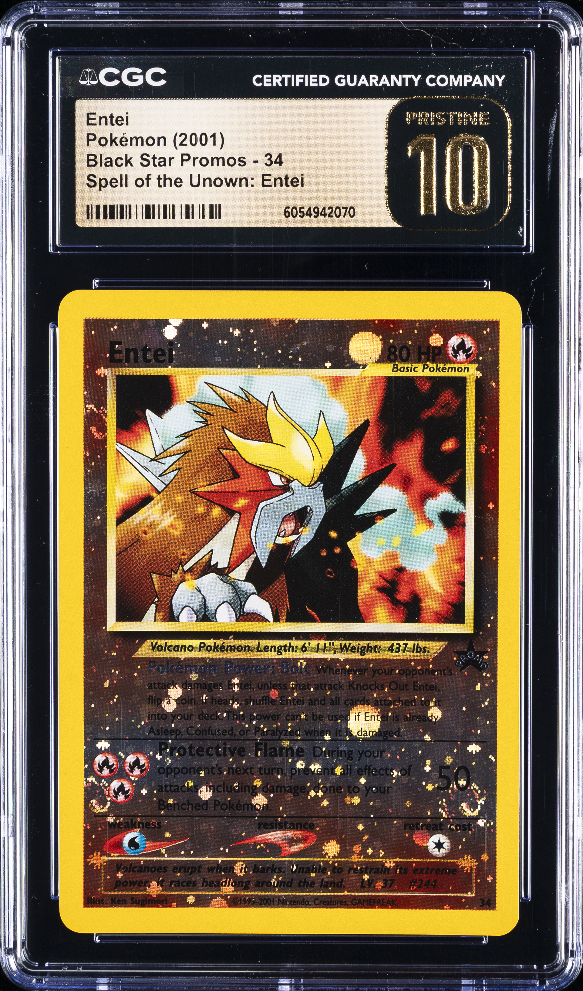 Entei-Reverse Foil