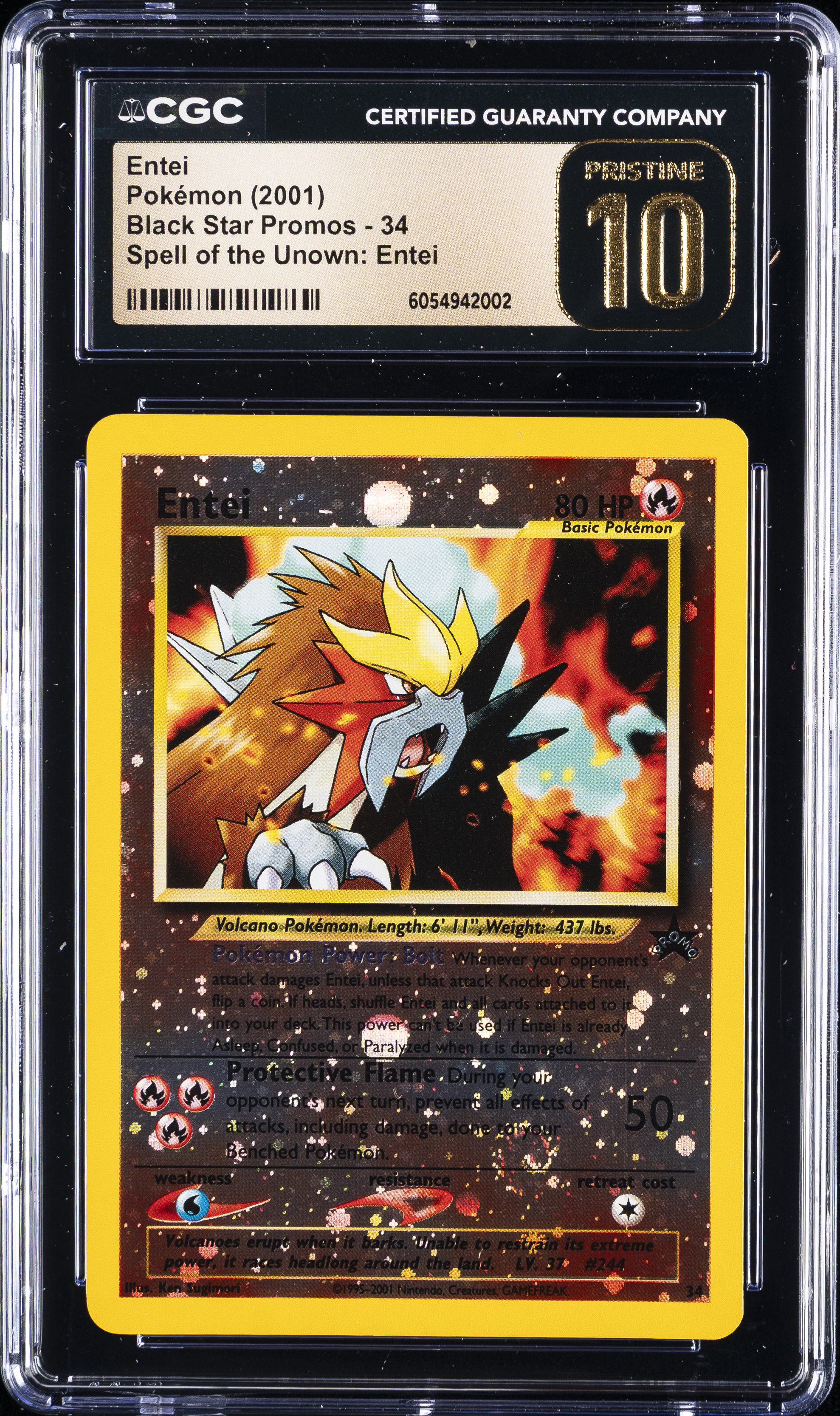 Entei-Reverse Foil