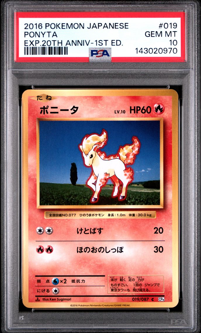 Ponyta