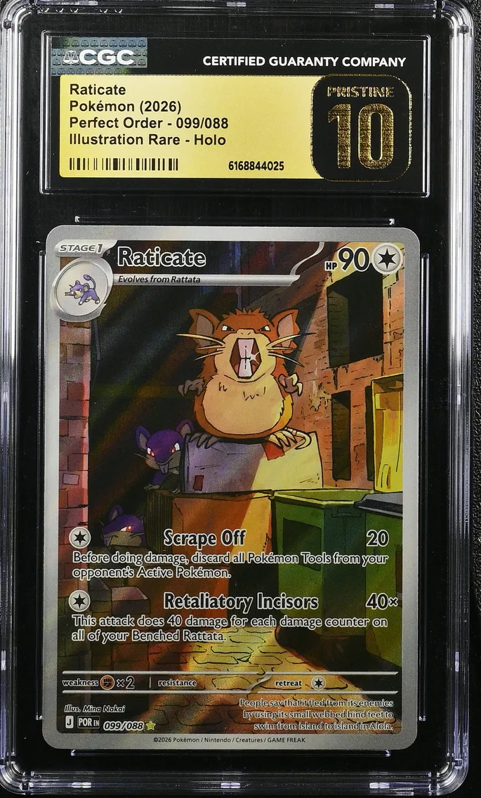 Raticate