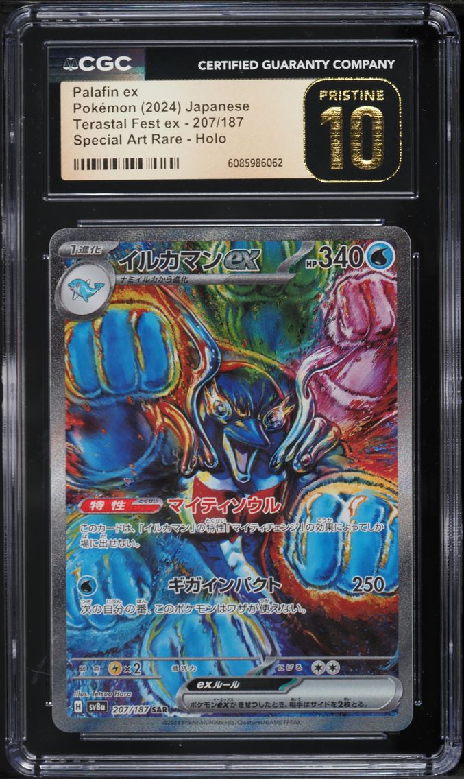 Palafin ex - 207/187