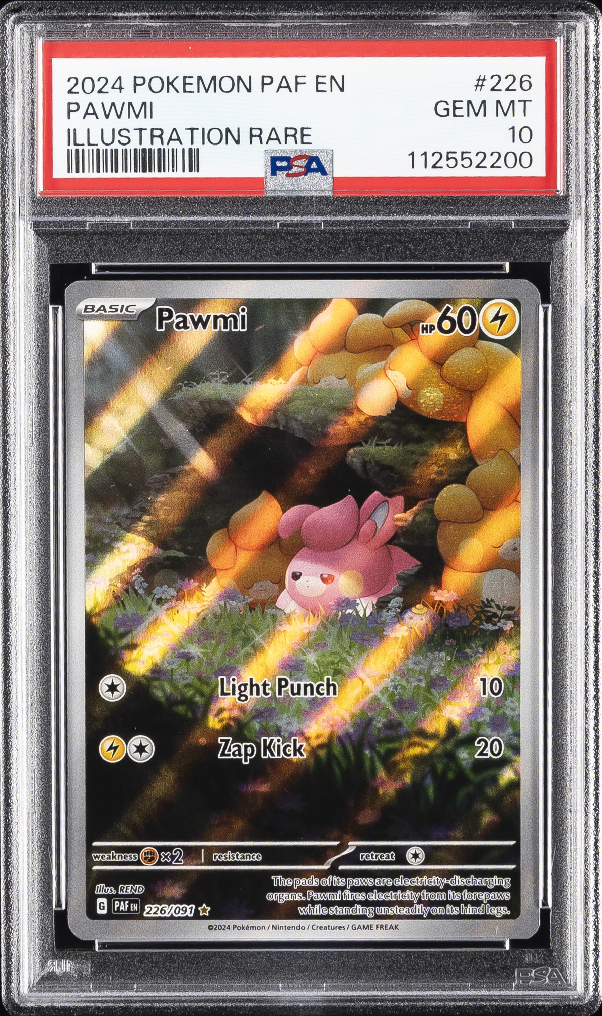 Pawmi