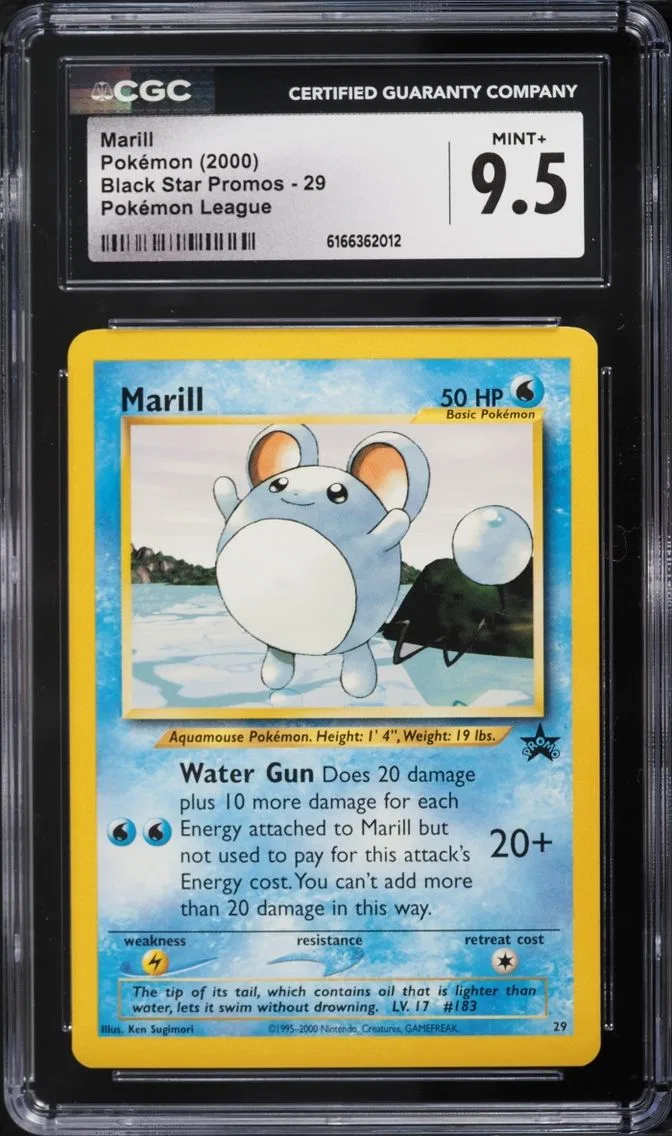 2000 Black Star Promos - WotC - English Pokemon League Black Star Promo Marill #29 CGC 9.5