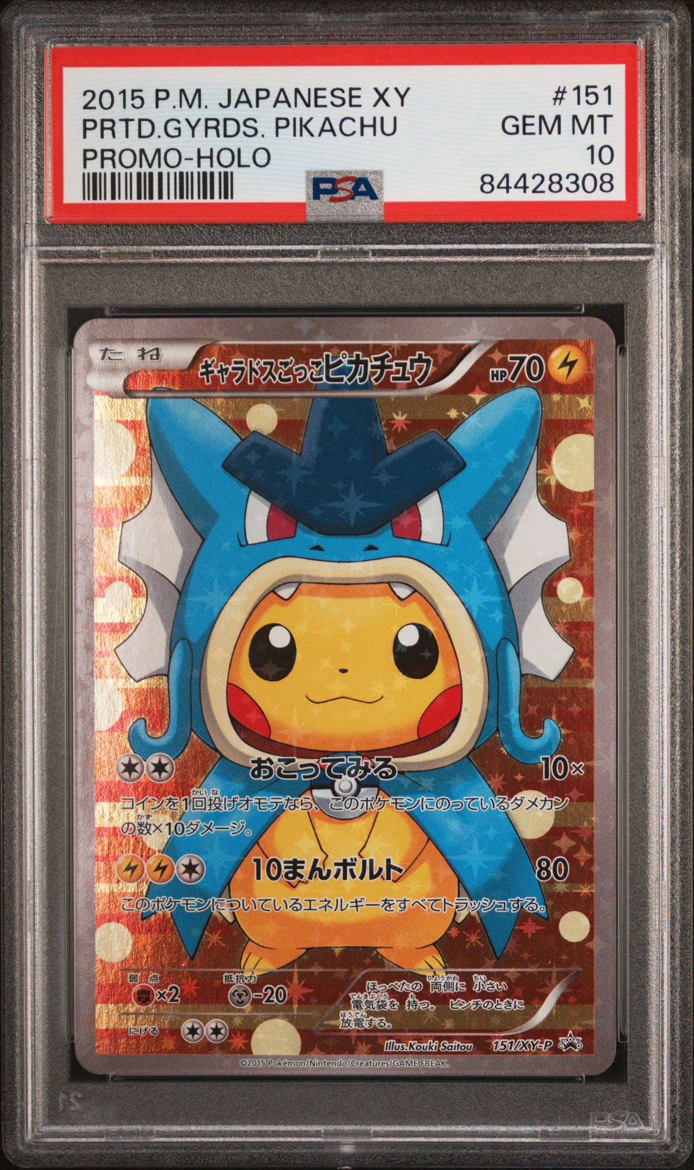 Pretend Gyarados Pikachu