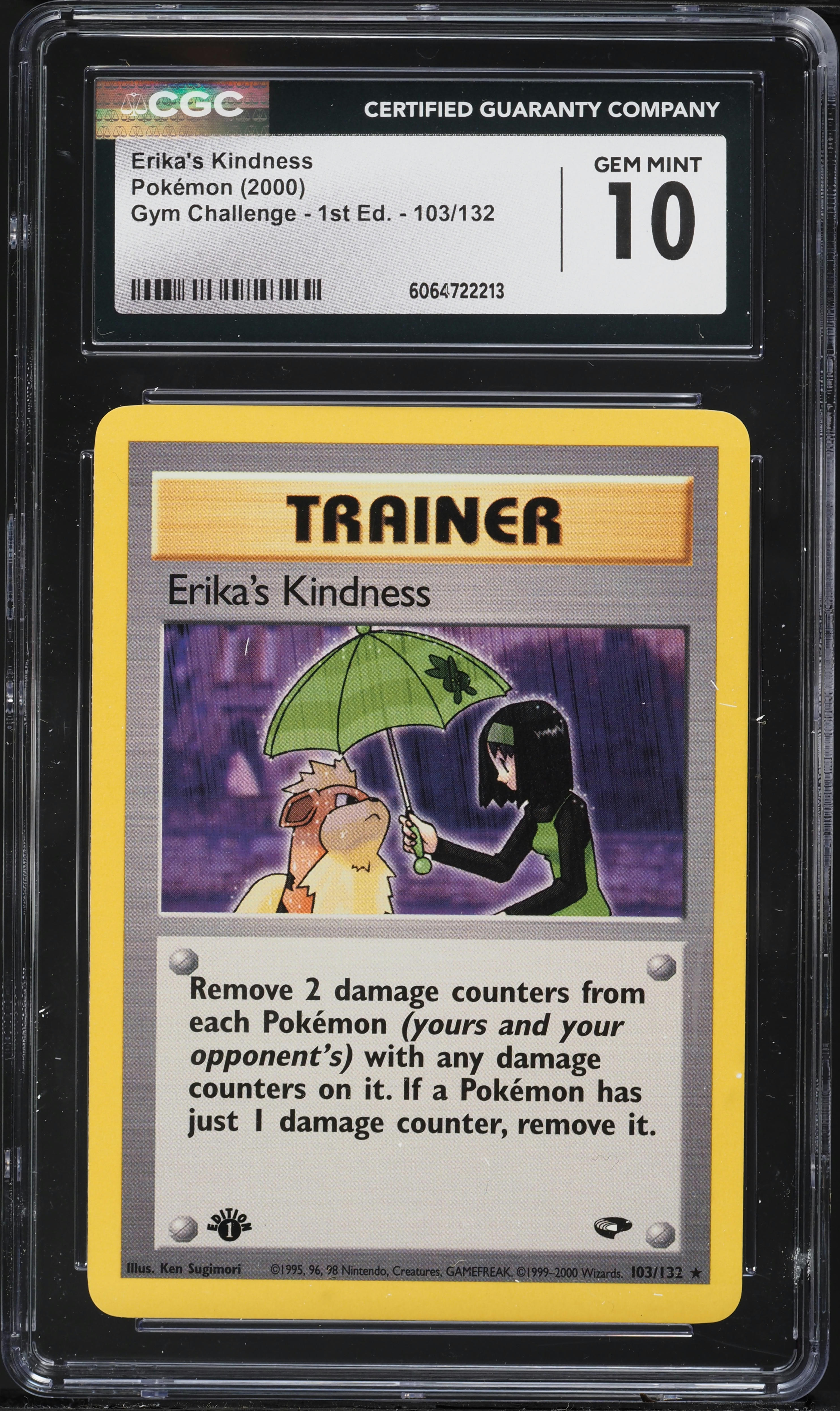 Erika's Kindness 1st Edition