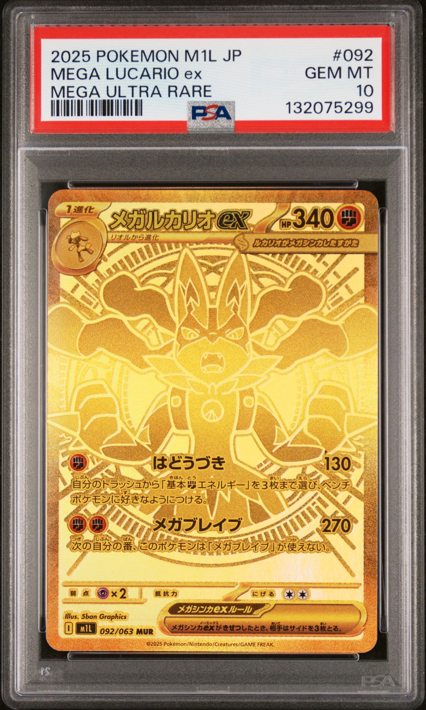 Mega Lucario EX