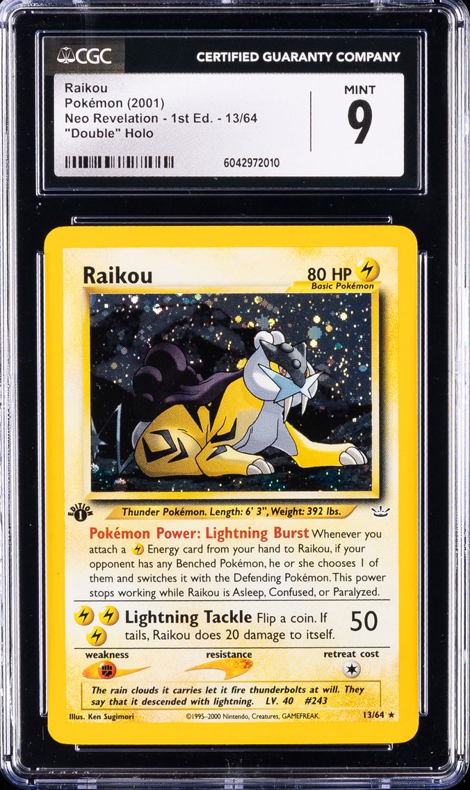 Raikou (13)