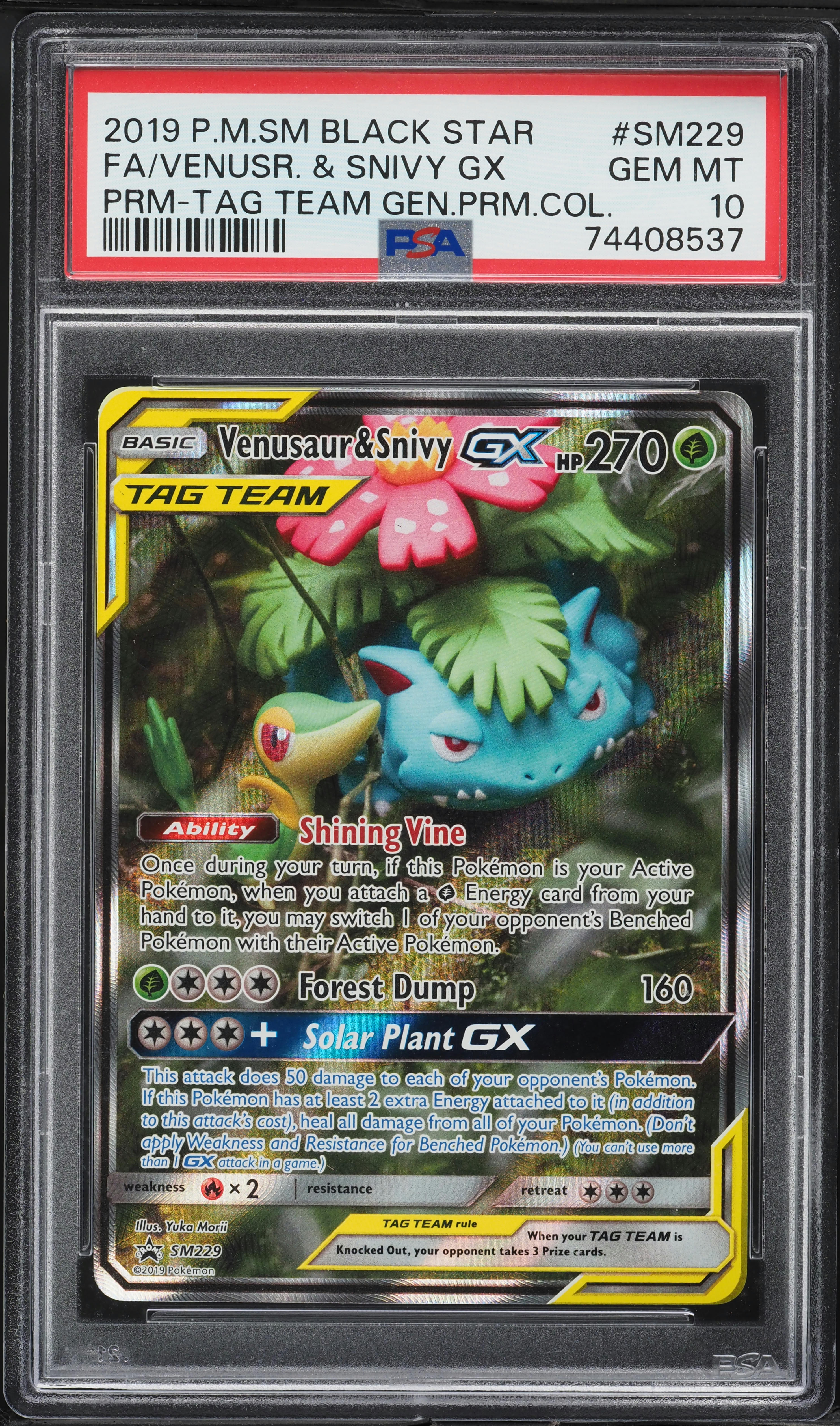 Full Art/Venusaur & Snivy GX
