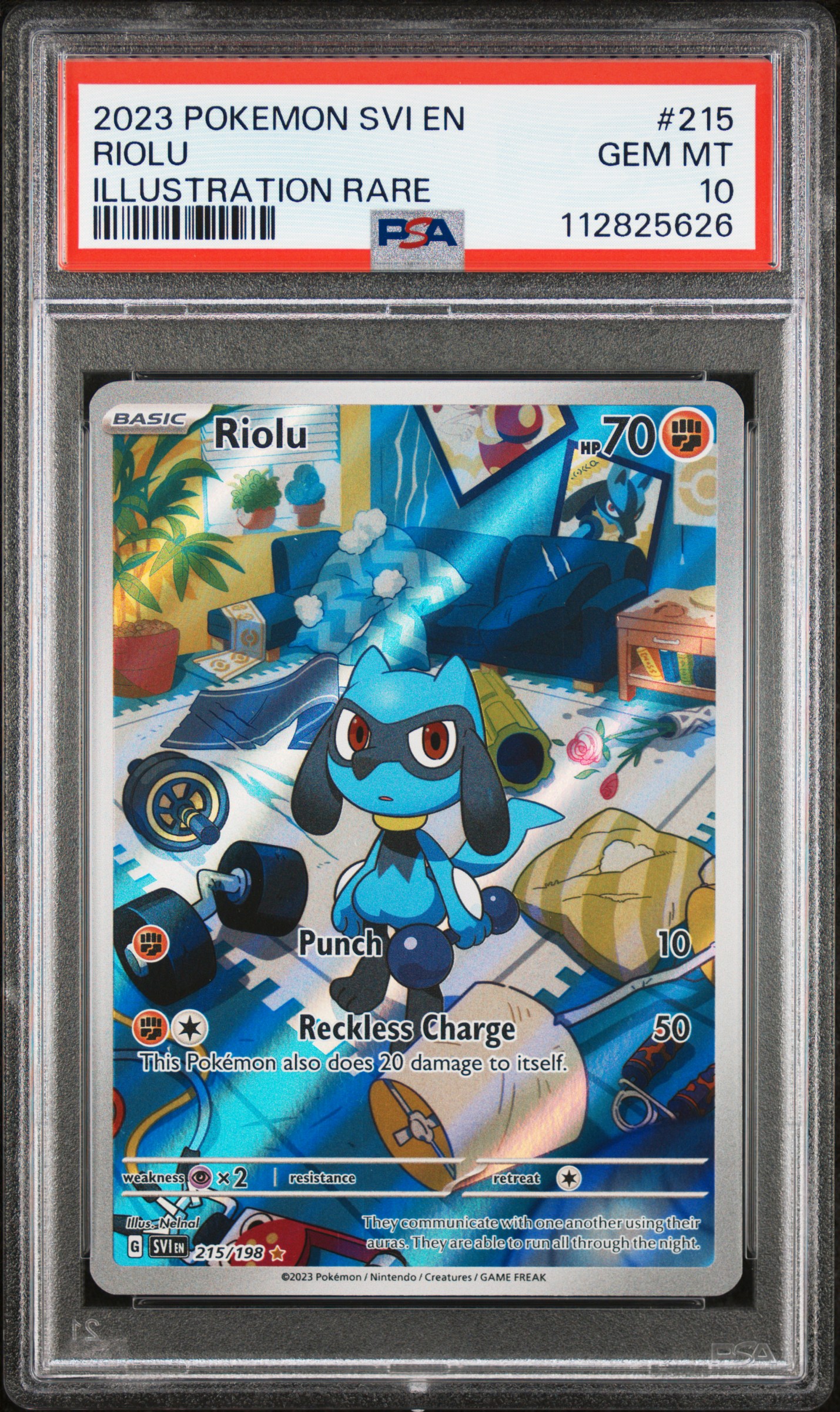 Riolu