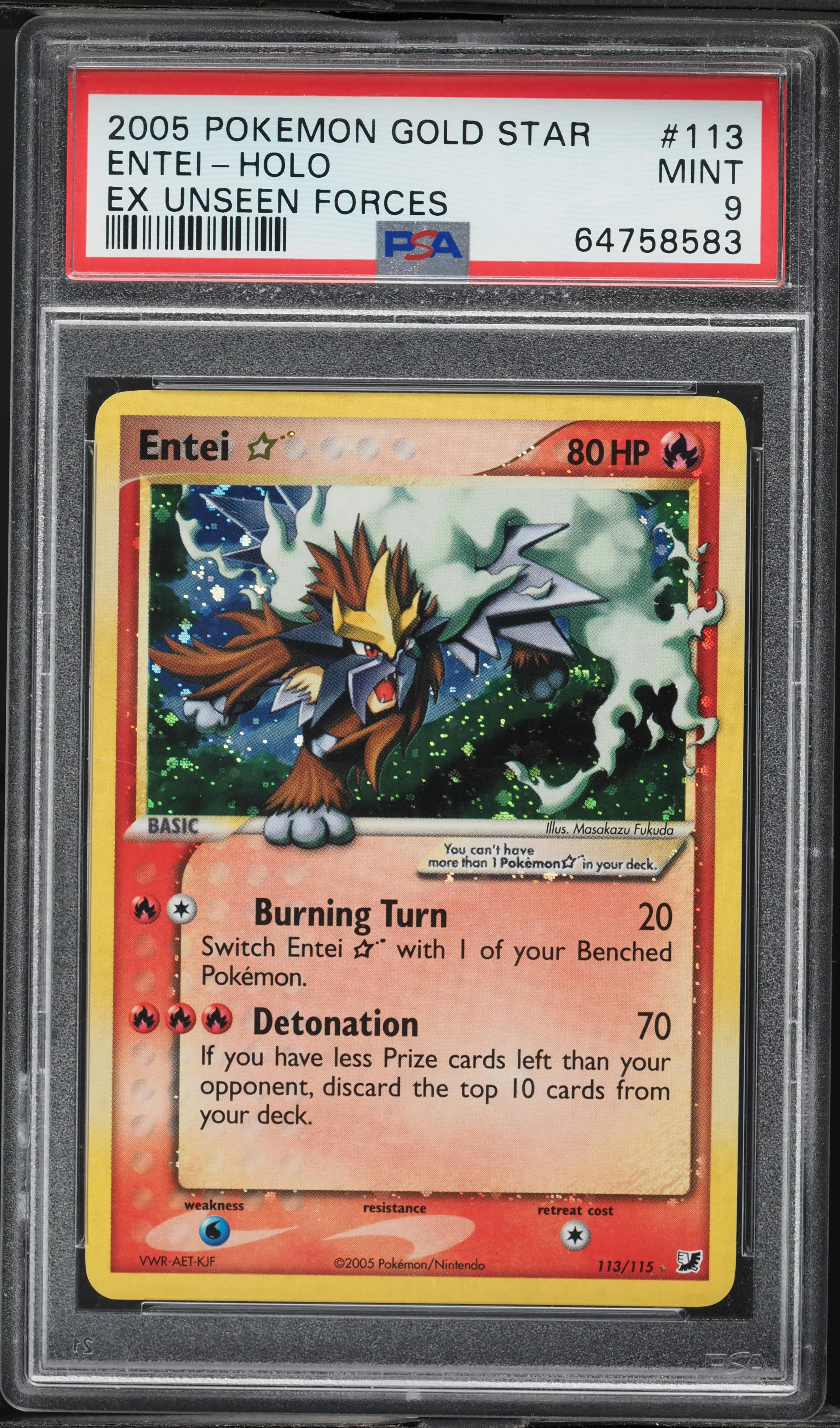 Entei-Holo