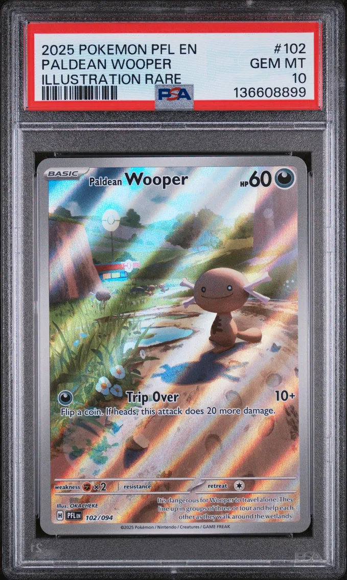 2025 #102 Paldean Wooper PSA 10 Pfl EN-Phantasmal Flames