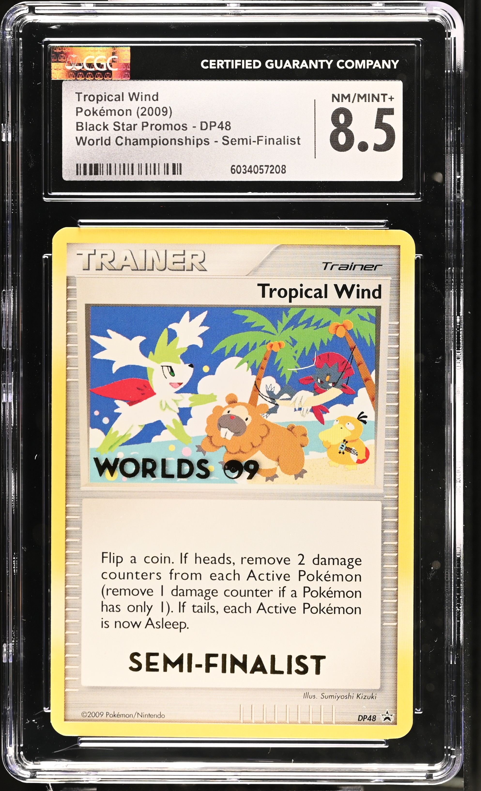 Tropical Wind