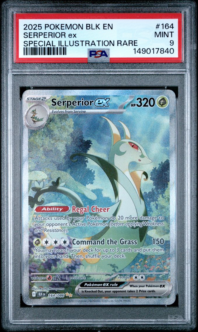 2025 #164 Serperior EX PSA 9 Blk EN-Black Bolt