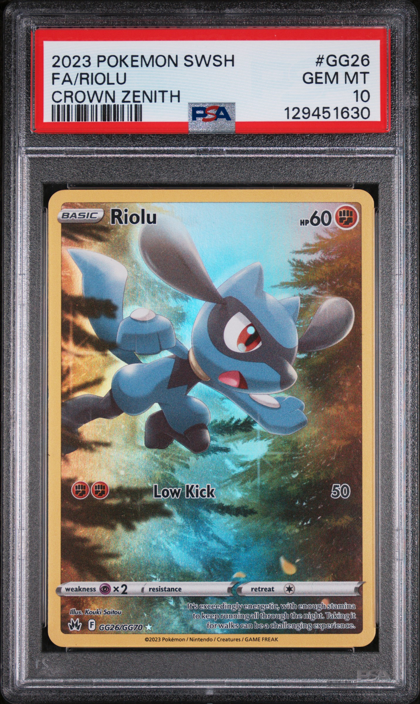 FULL ART/RIOLU