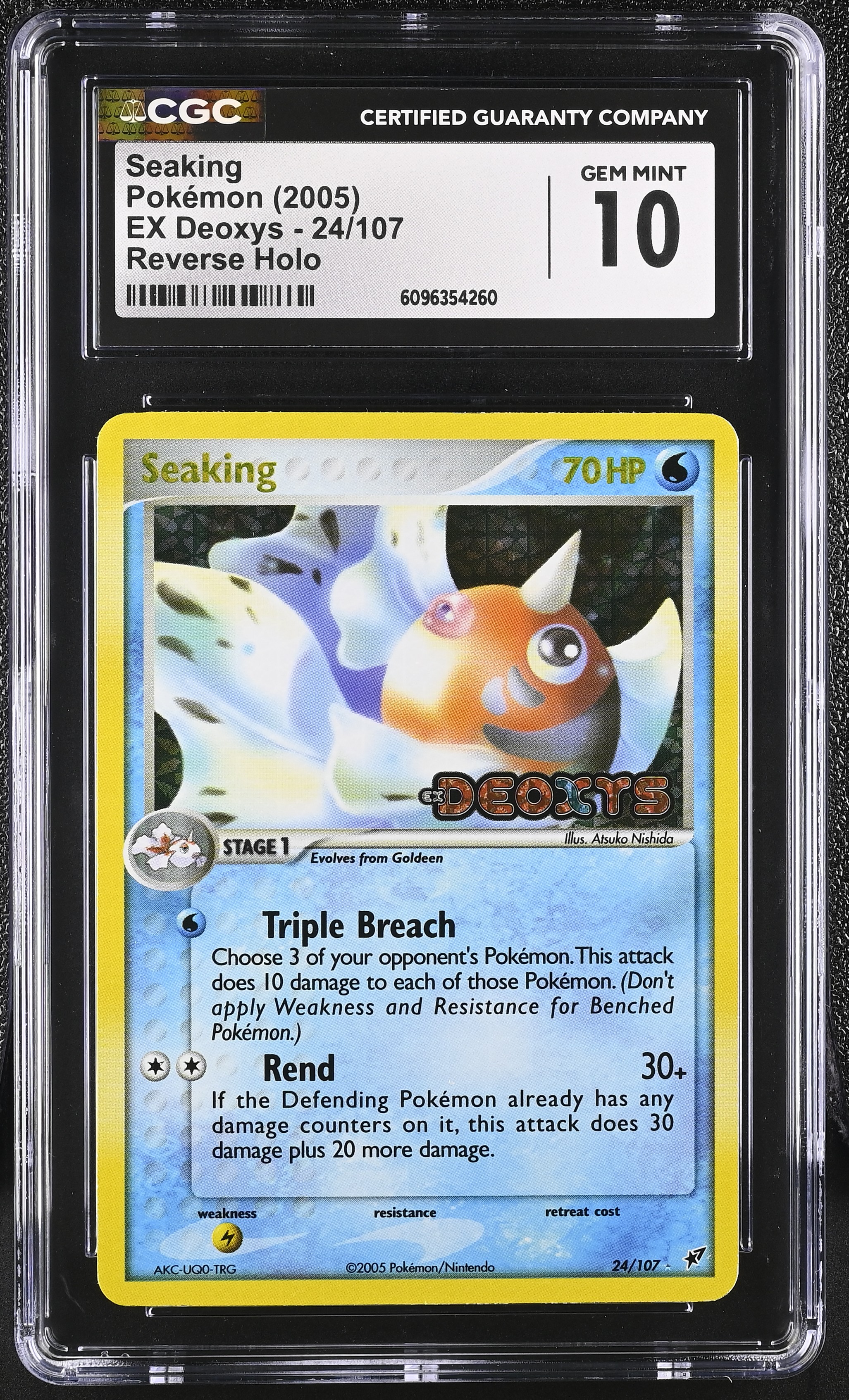 Seaking Reverse Holo