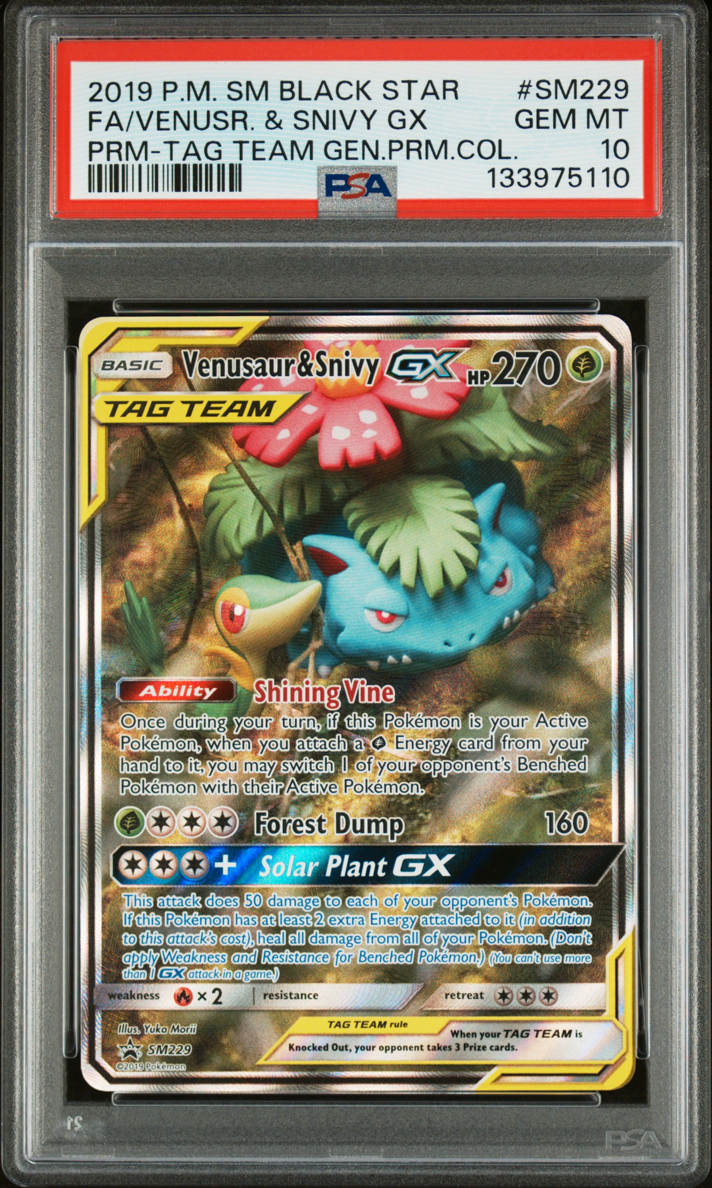 Full Art/Venusaur & Snivy GX