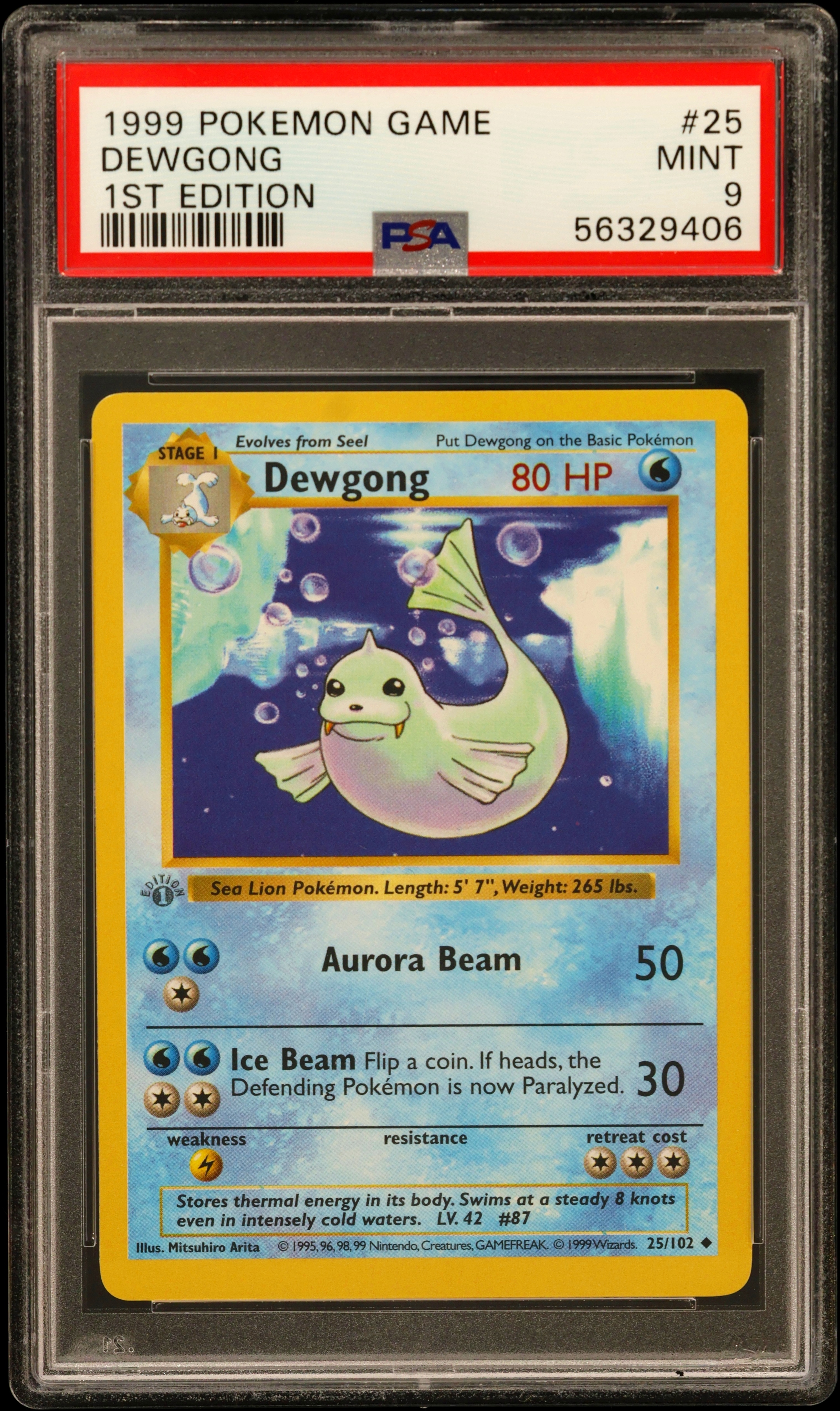 Dewgong 1st Edition