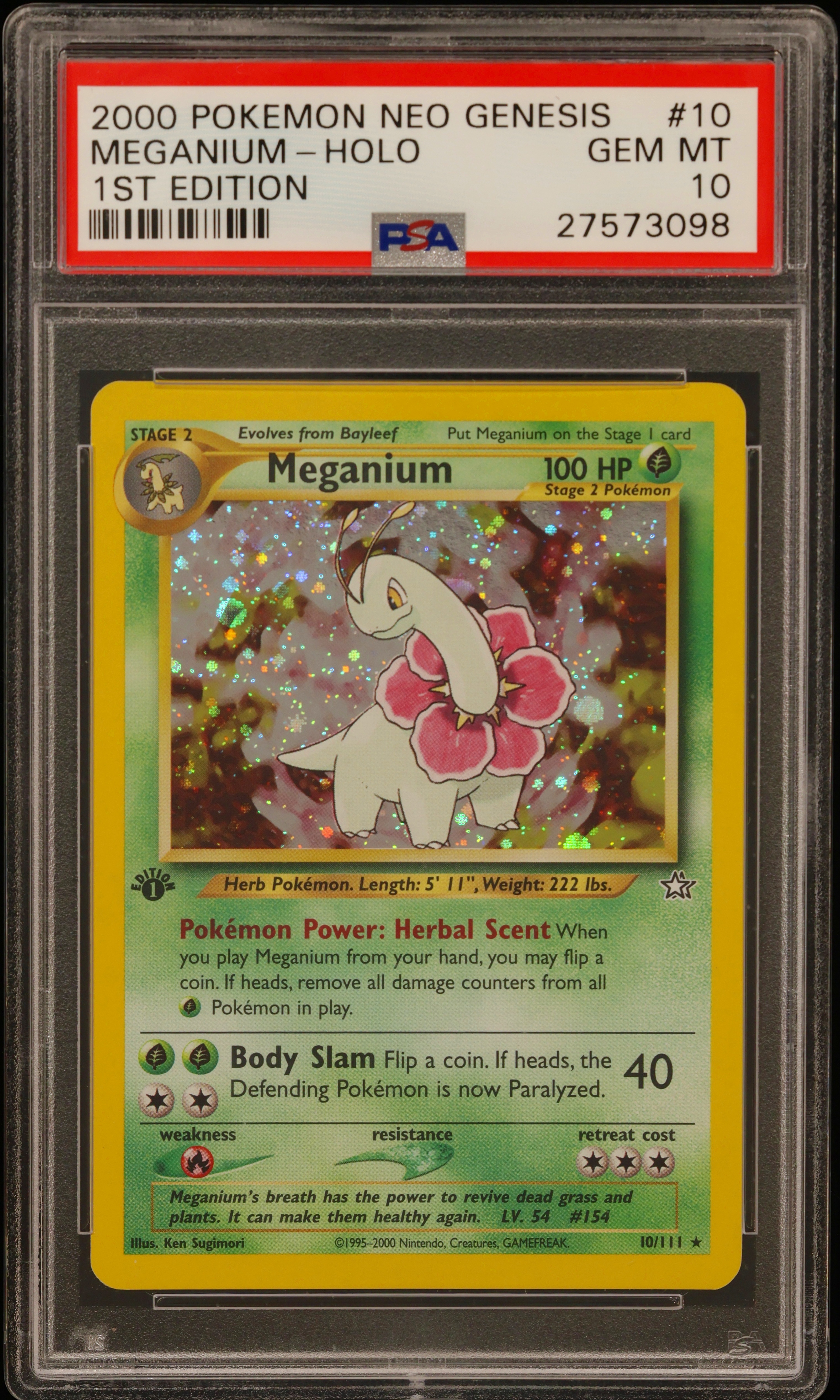 Meganium-Holo