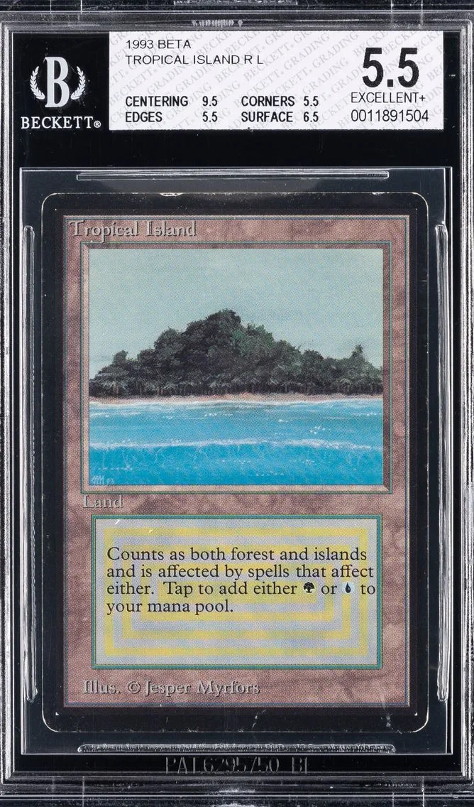 1993 TROPICAL ISLAND BGS 5.5 MAGIC:  THE GATHERING BETA