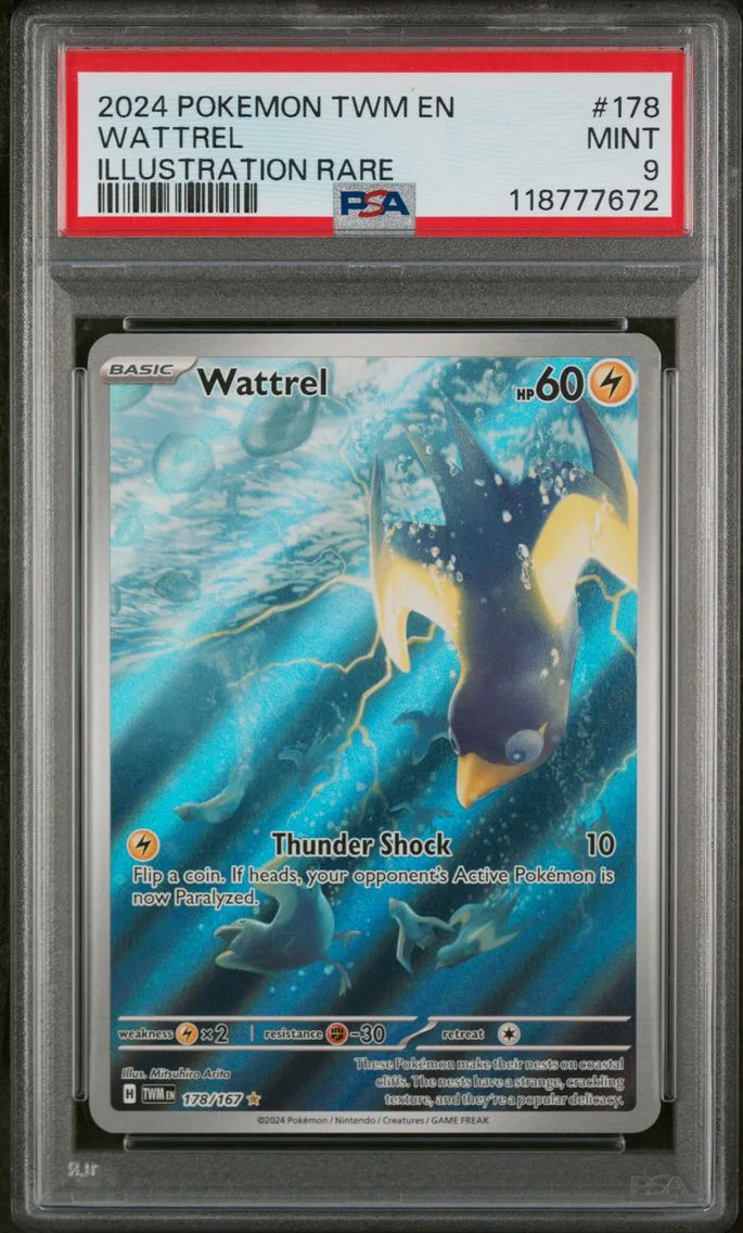2024 #178 Wattrel PSA 9 Twm EN-T