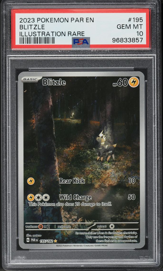 2023 #195 Blitzle PSA 10 Par EN-Paradox Rift Pokemon