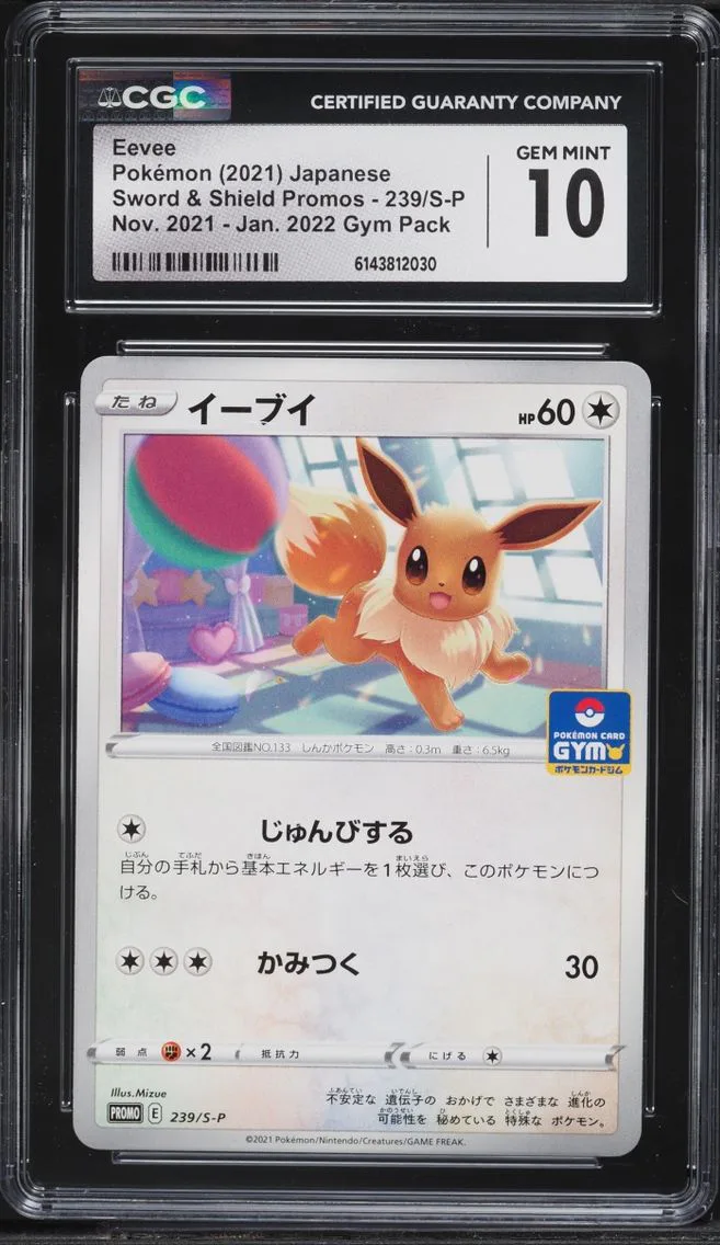 2021 Sword & Shield Promos - Japanese Pokemon Japanese Sword & Shield Promo Gym Pack Eevee #239/S-P CGC 10