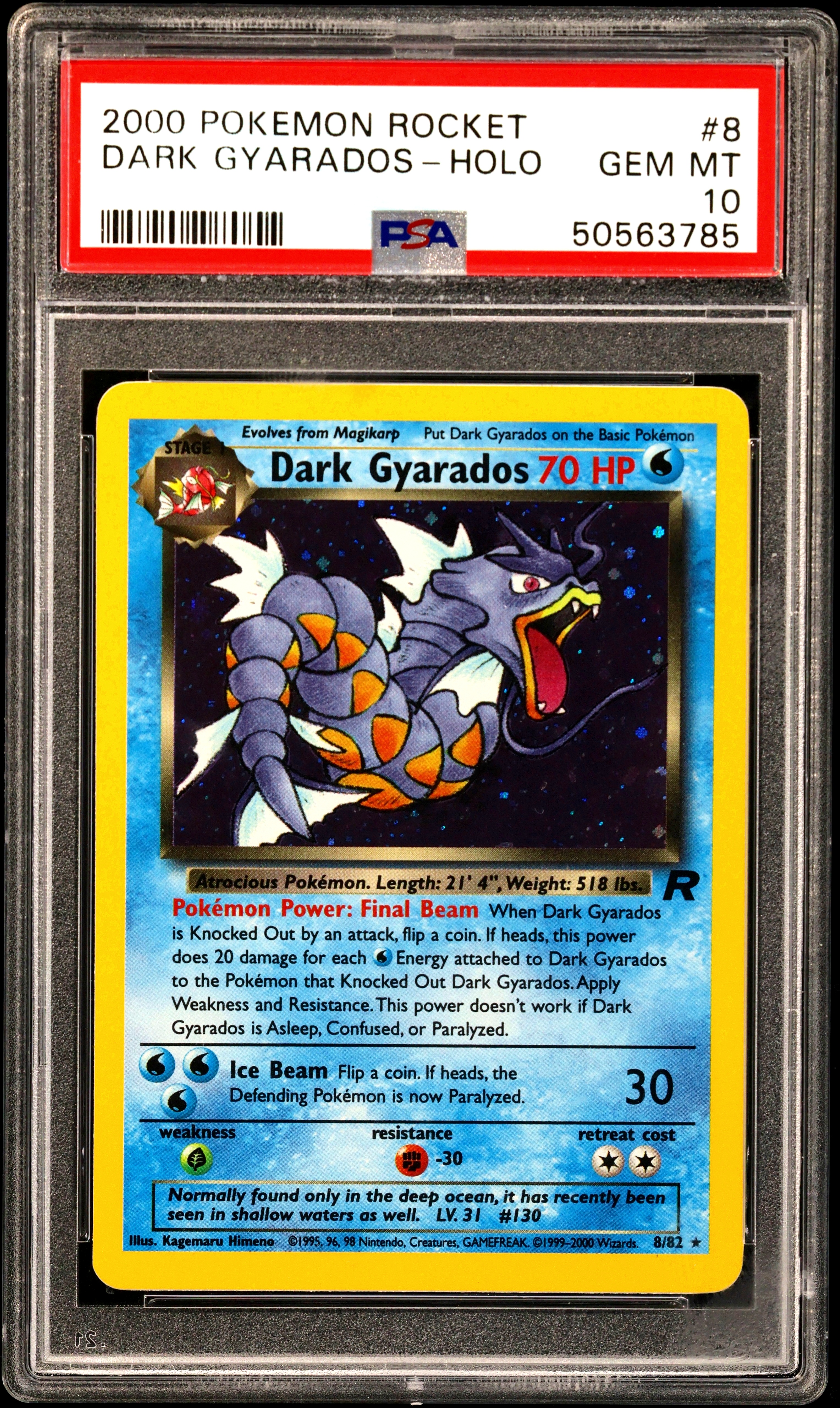 Dark Gyarados-Holo