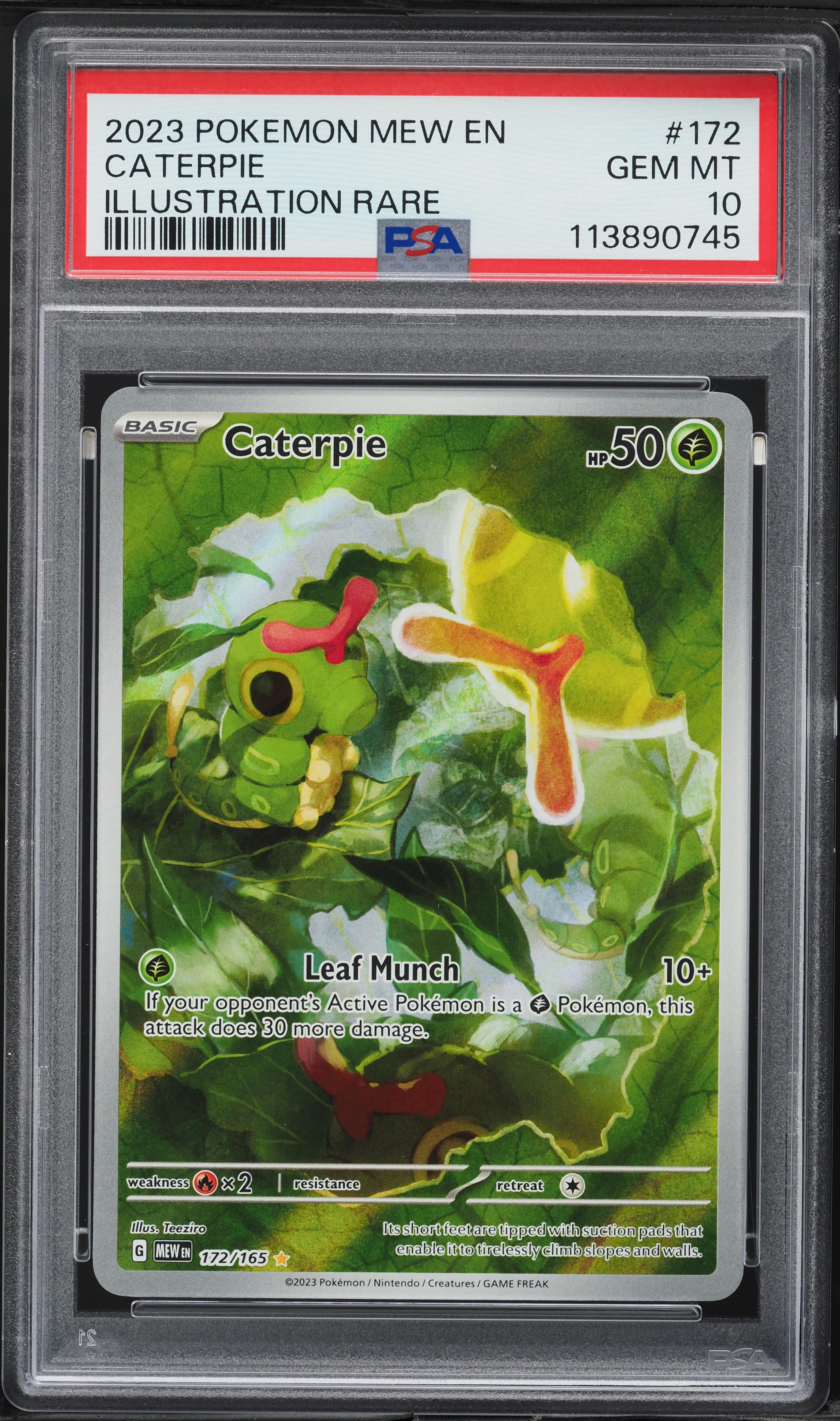 Caterpie