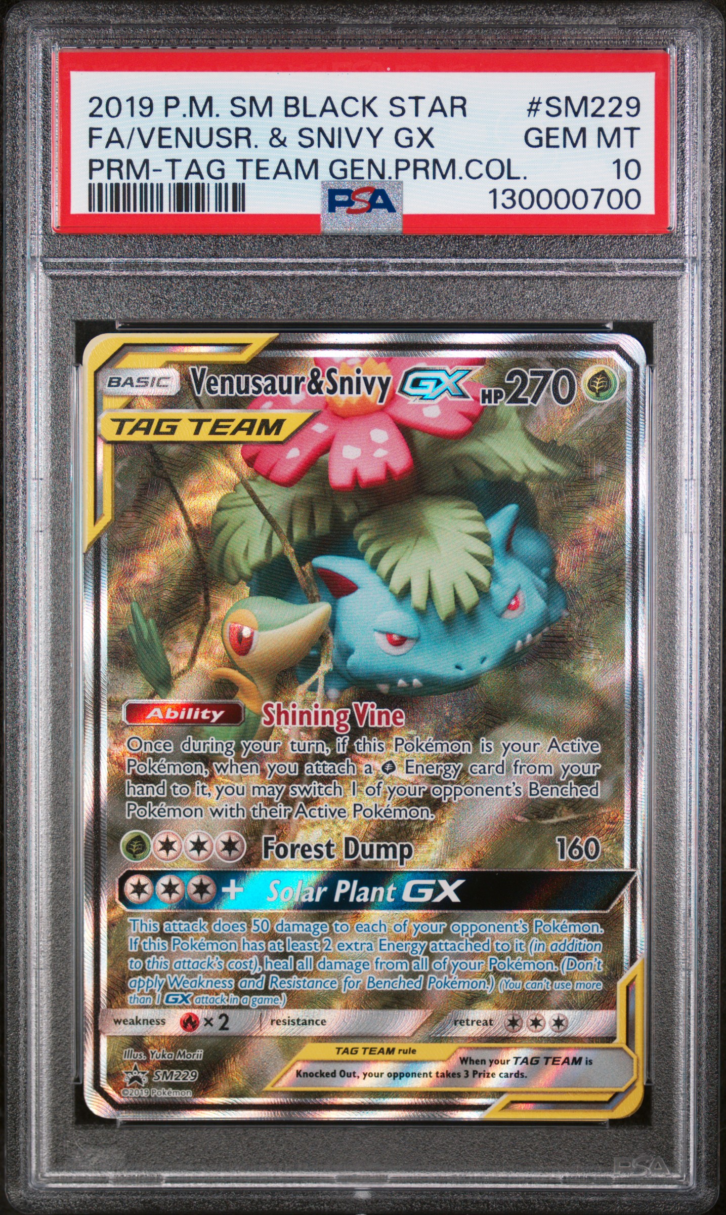 Full Art/Venusaur & Snivy GX