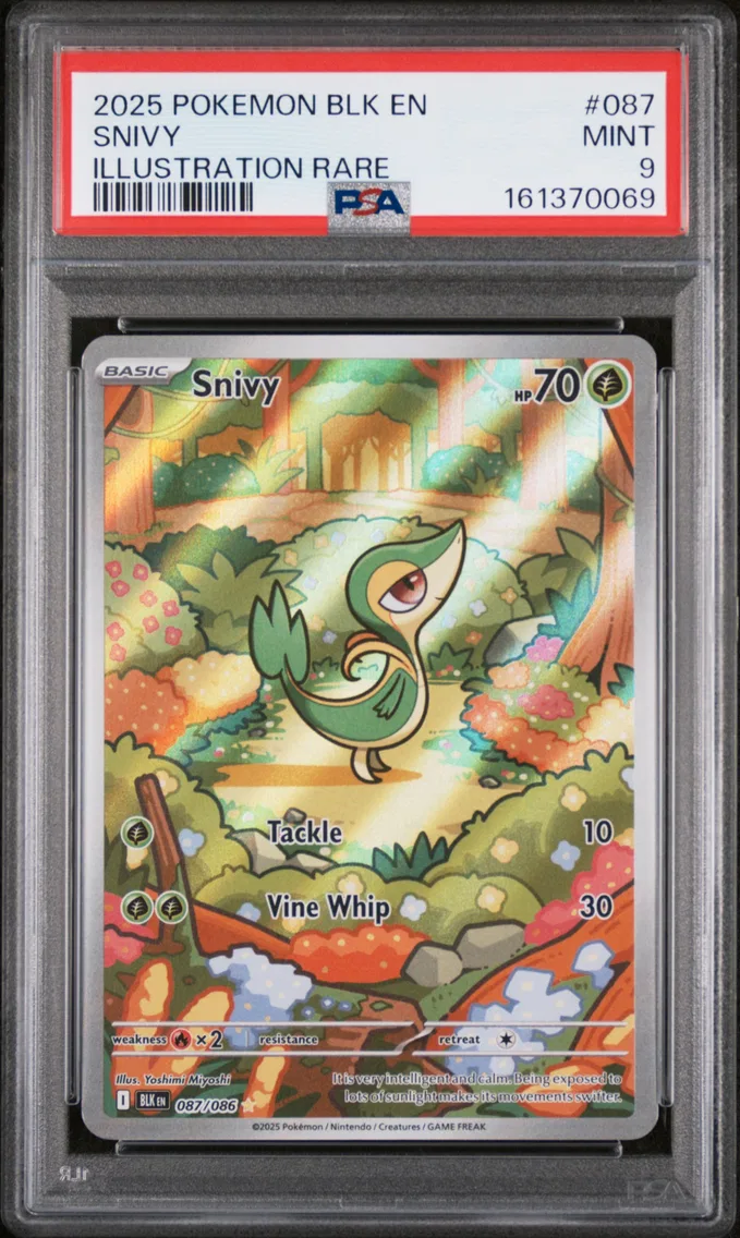 2025 #087 Snivy PSA 9 Blk EN-Black Bolt