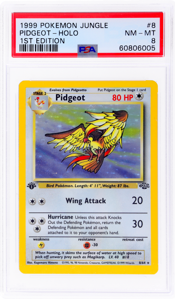1999 #8 JUNGLE 1ST EDITION HOLO PIDGEOT PSA 8 POKEMON