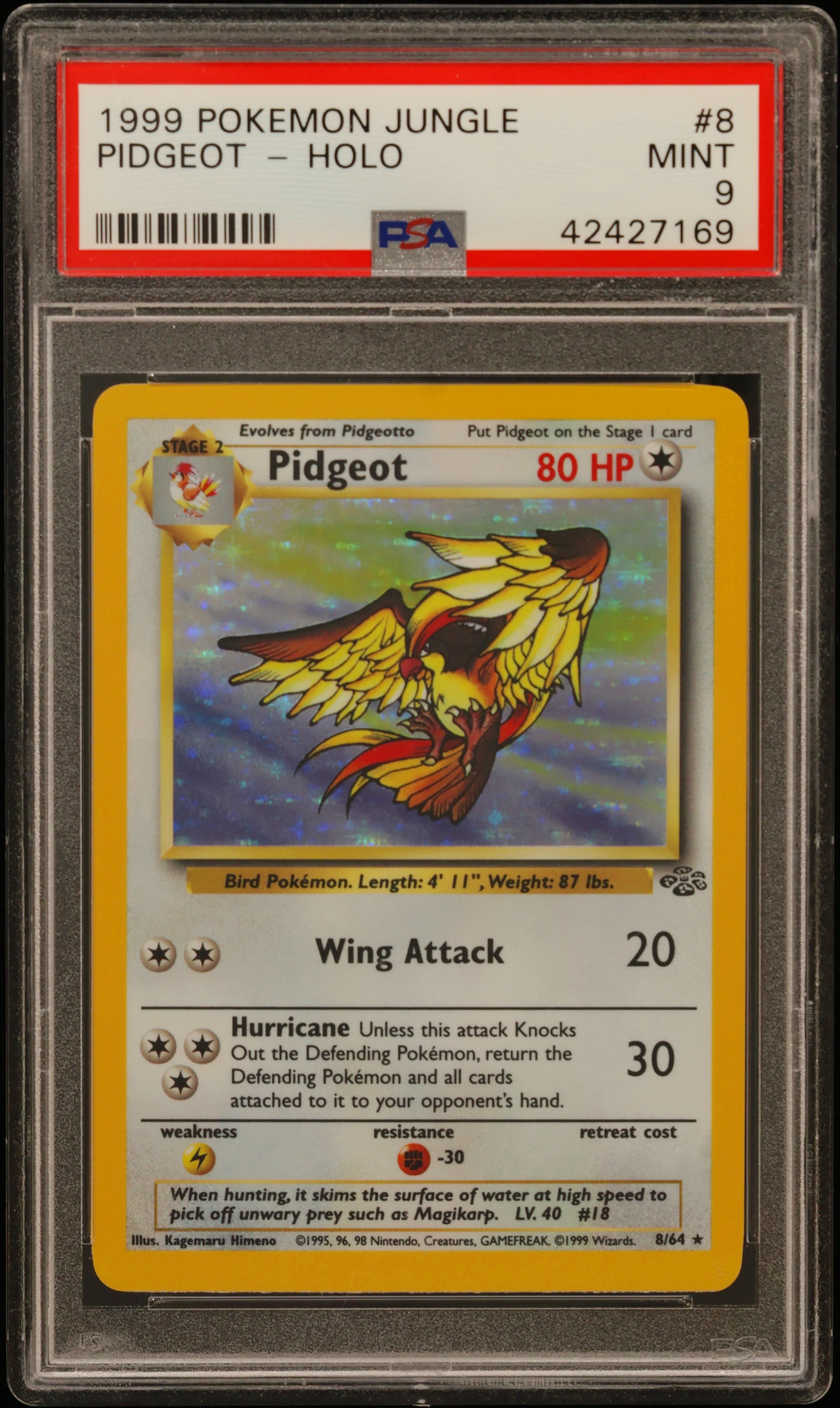 1999 #8 Pidgeot-Holo PSA 9 Jungle
