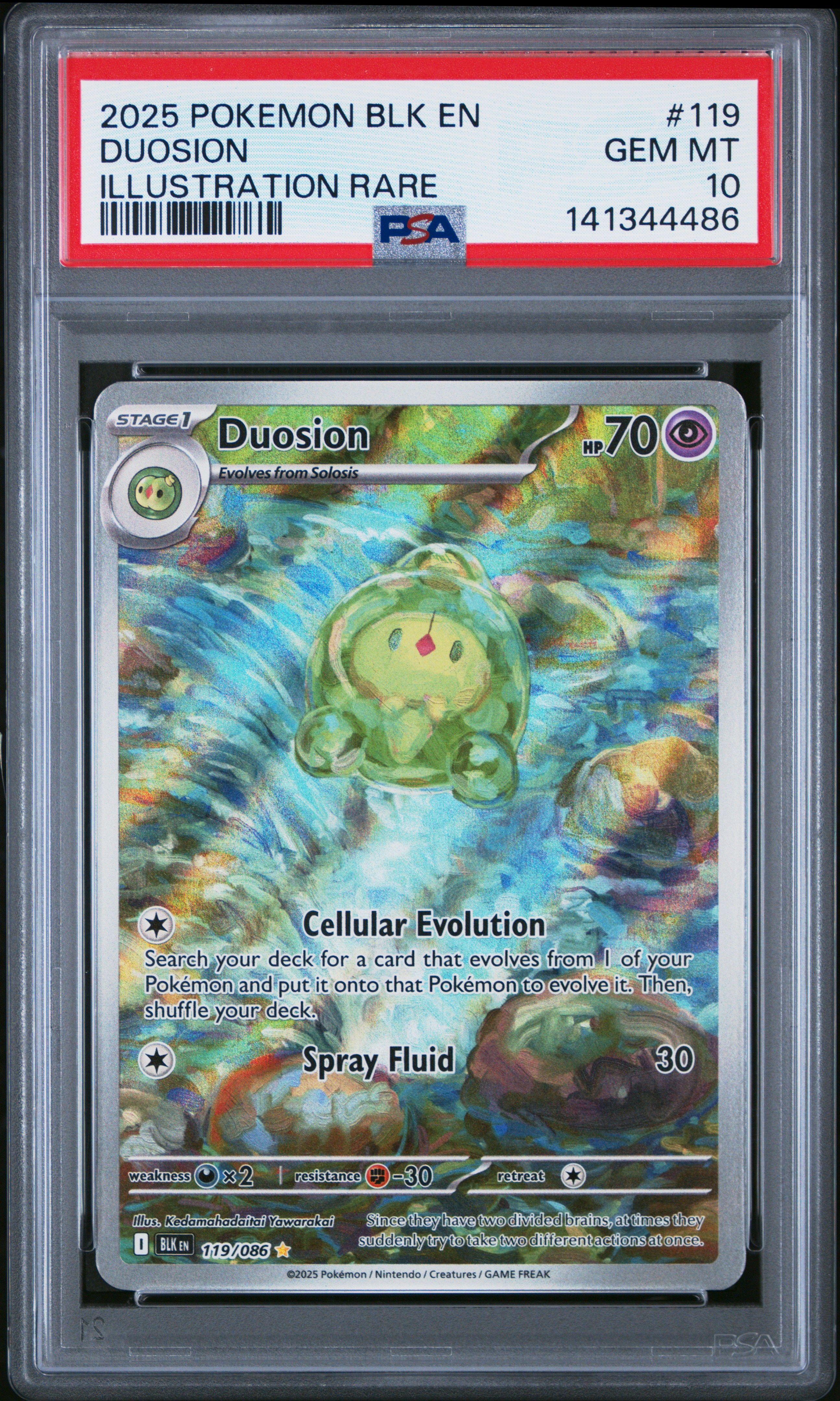 Duosion