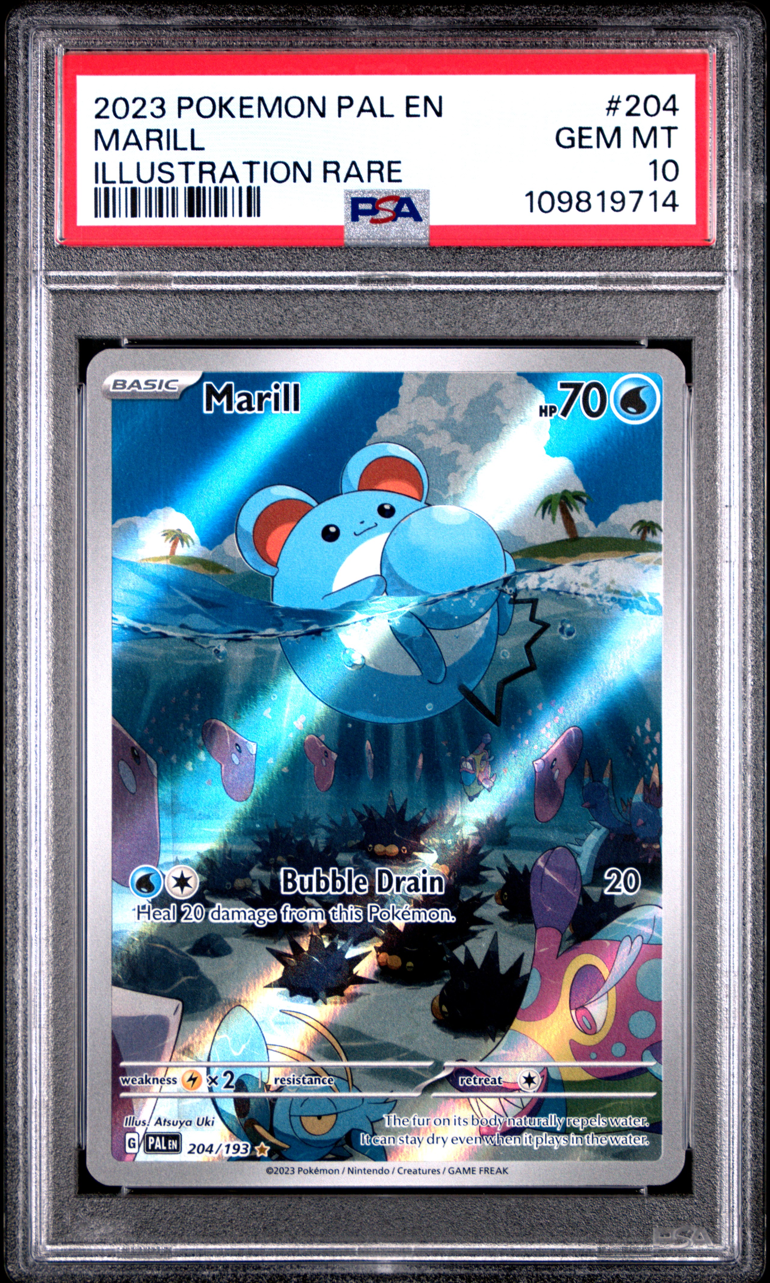 2023 #204 Marill PSA 10 Pal En-Paldea Evolved