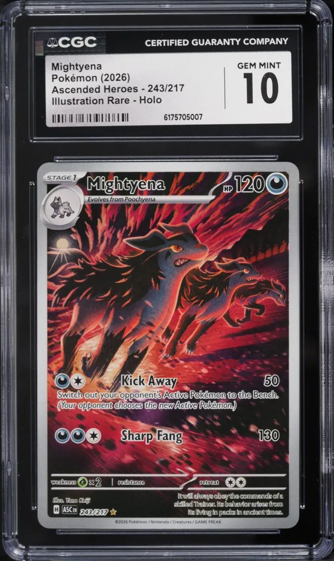 2026 Pokemon Mega Evolution Ascended Heroes IR Mightyena #243 CGC 10 GEM MINT