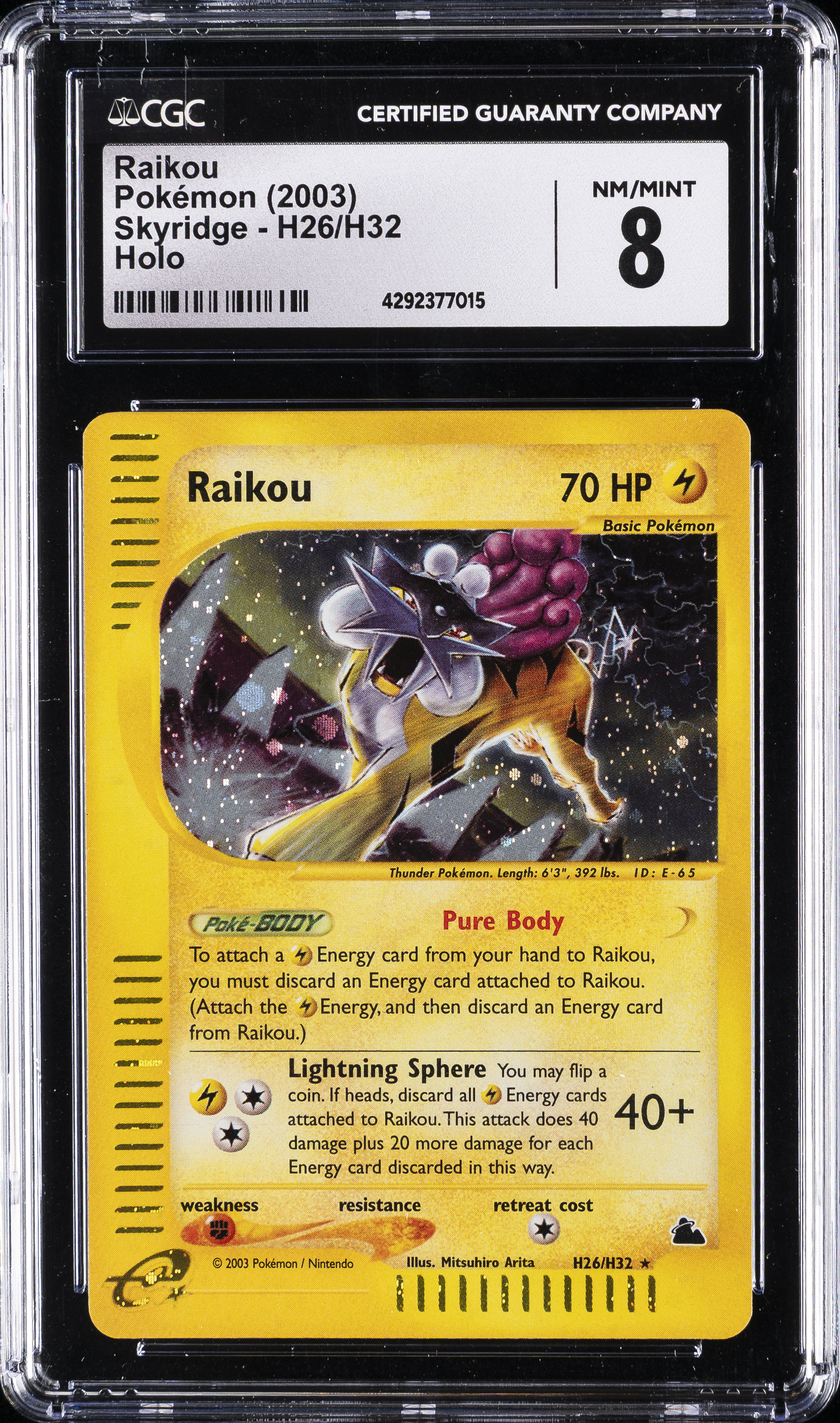 Raikou-Holo