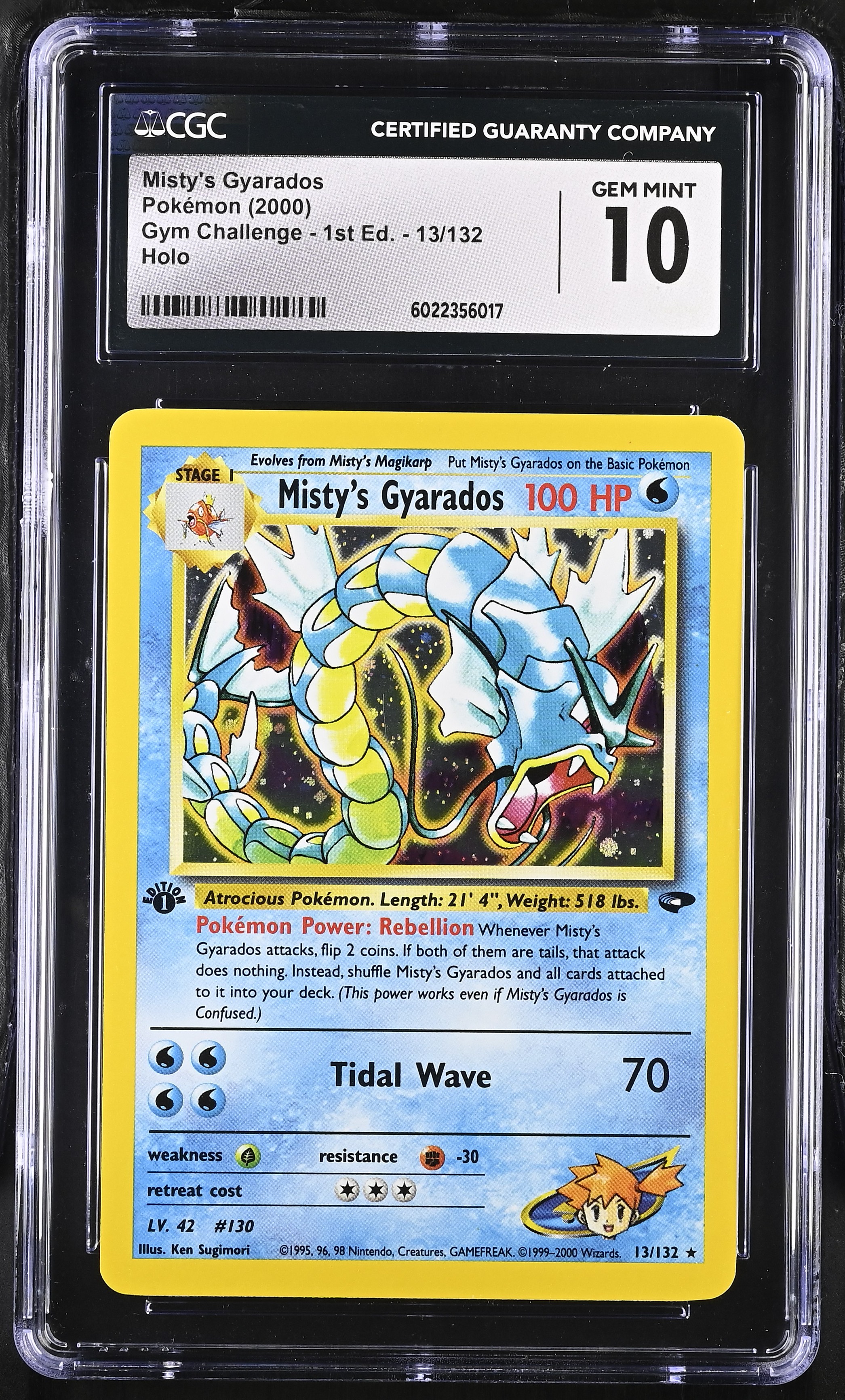 Misty's Gyarados