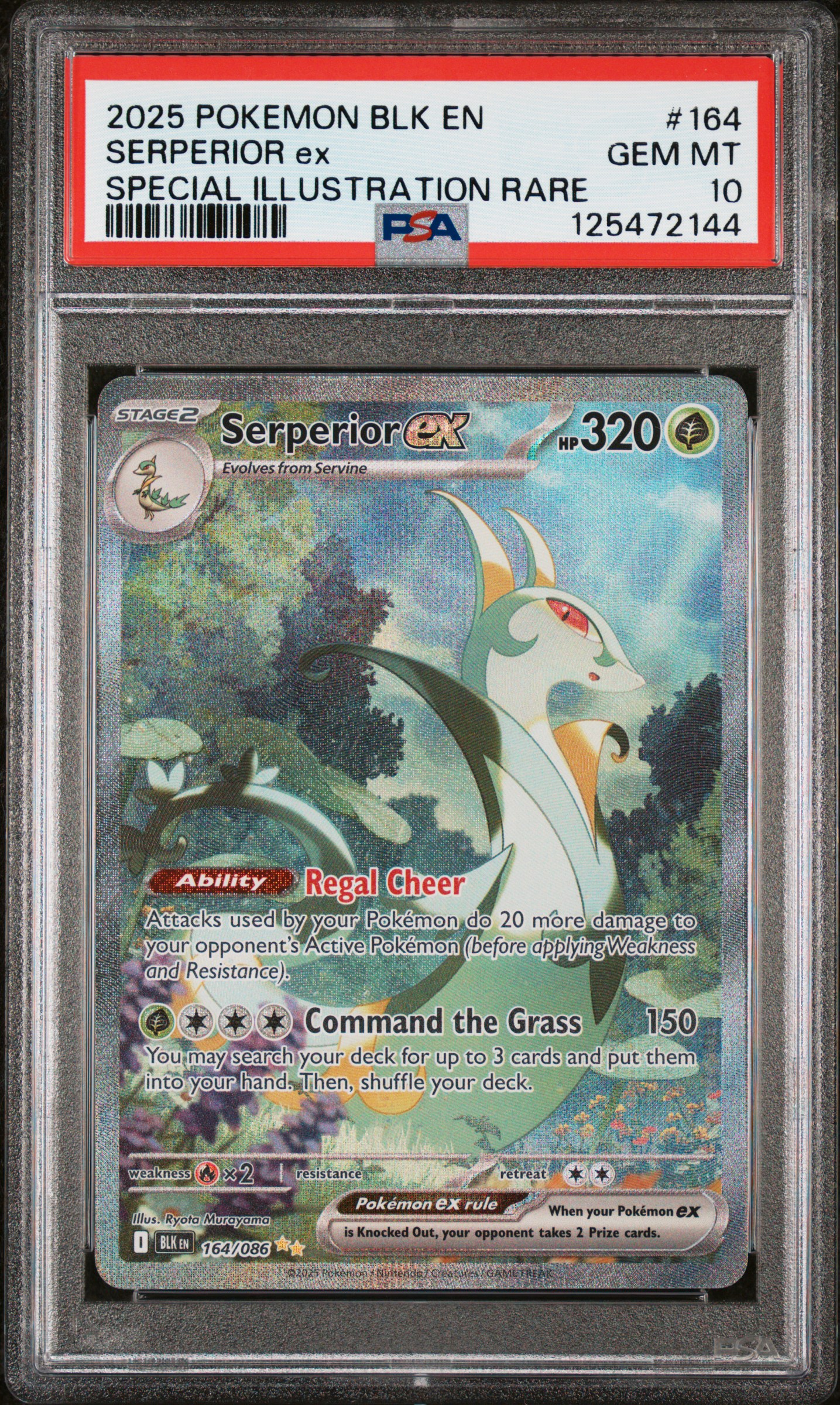 2025 #164 Serperior Ex PSA 10 Blk En-Black Bolt