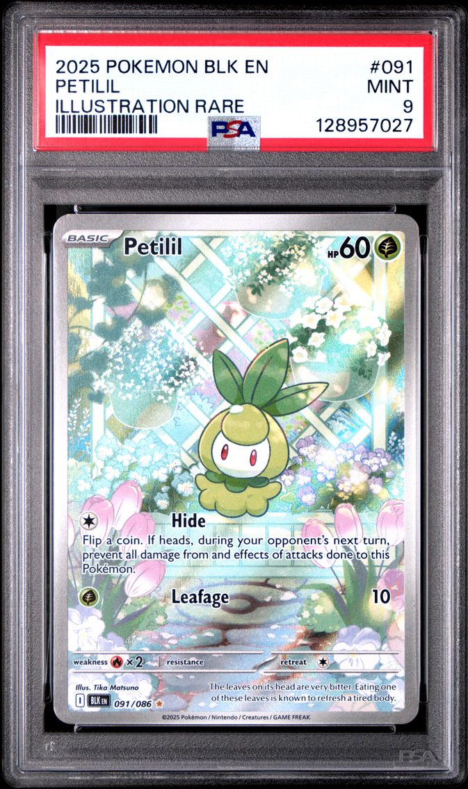 2025 #091 Petilil PSA 9 Blk EN-Black Bolt
