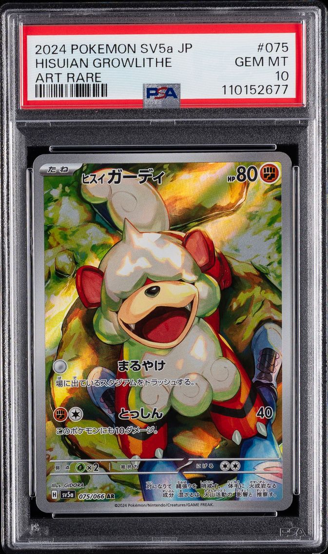 2024 #075 Hisuian Growlithe PSA 10 Japanese Sv5a-Crimson Haze Pokemon