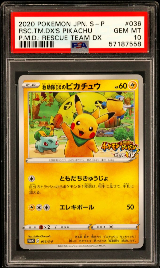 2020 #036 Rescue Team DX's Pikac