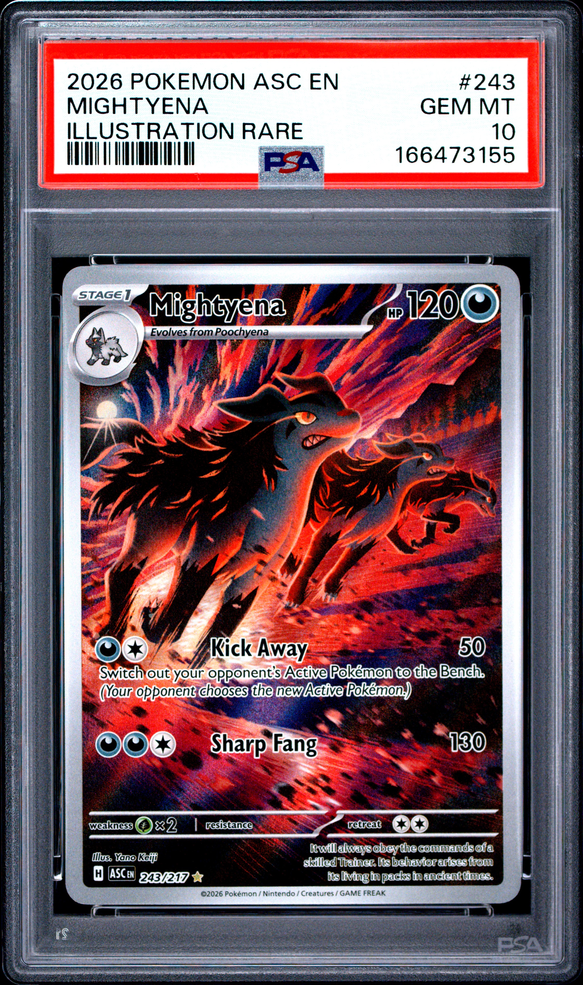 2026 #243 Mightyena PSA 10 Asc En-Ascended Heroes
