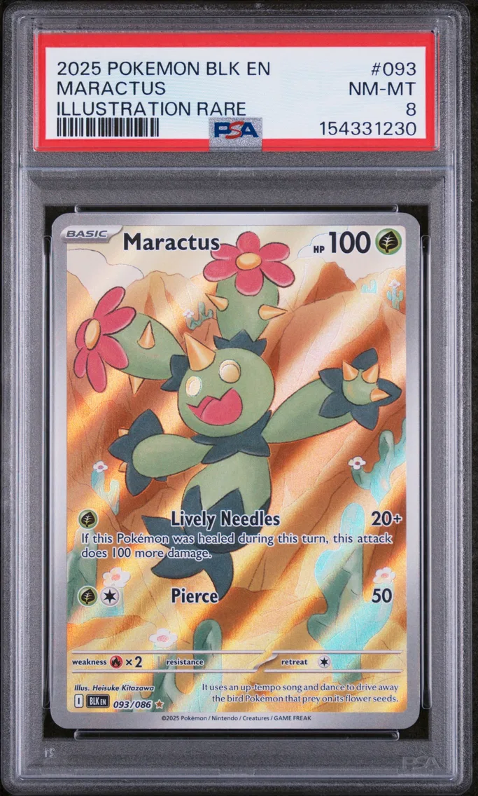 2025 #093 Maractus PSA 8 Blk EN-