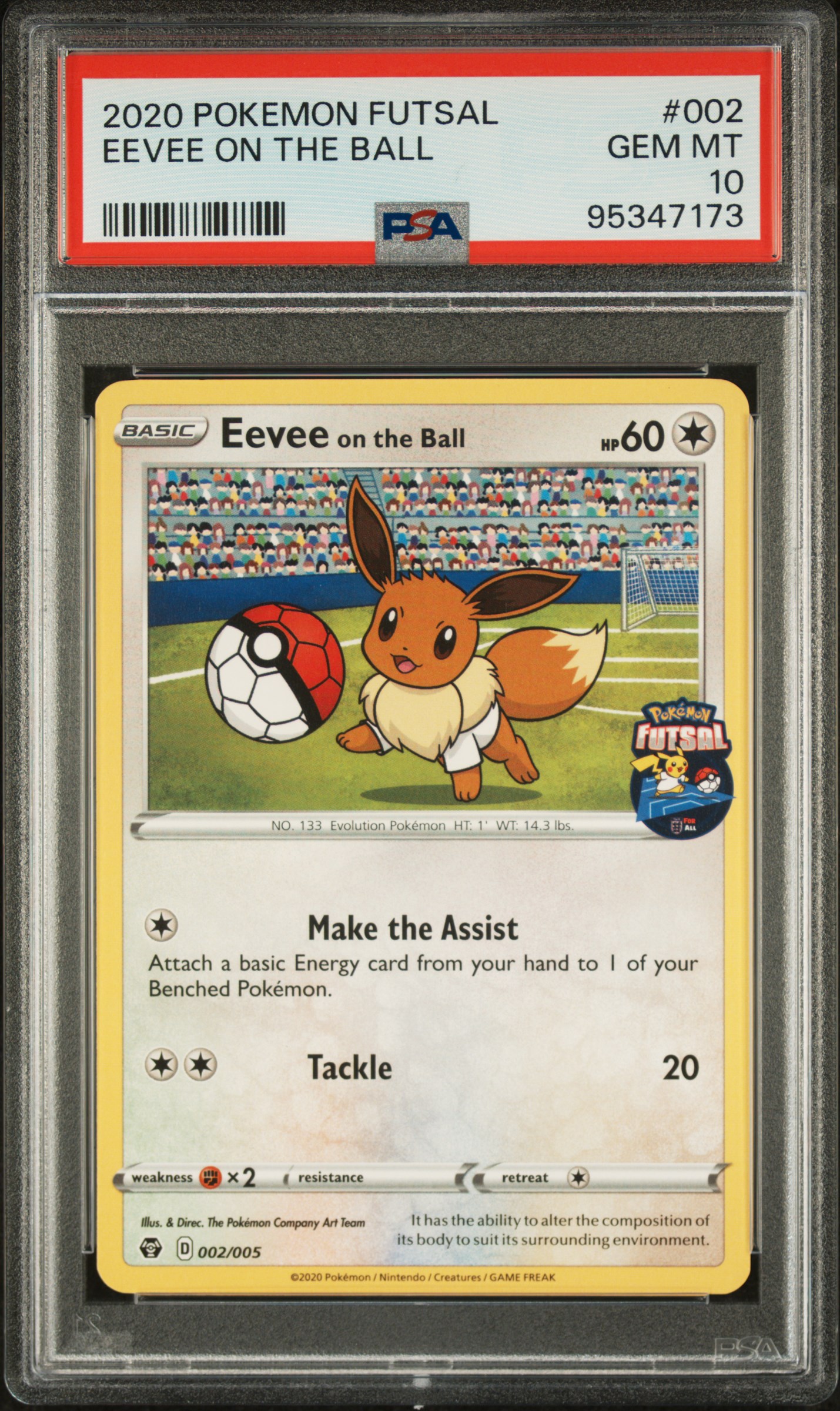 Eevee on the Ball