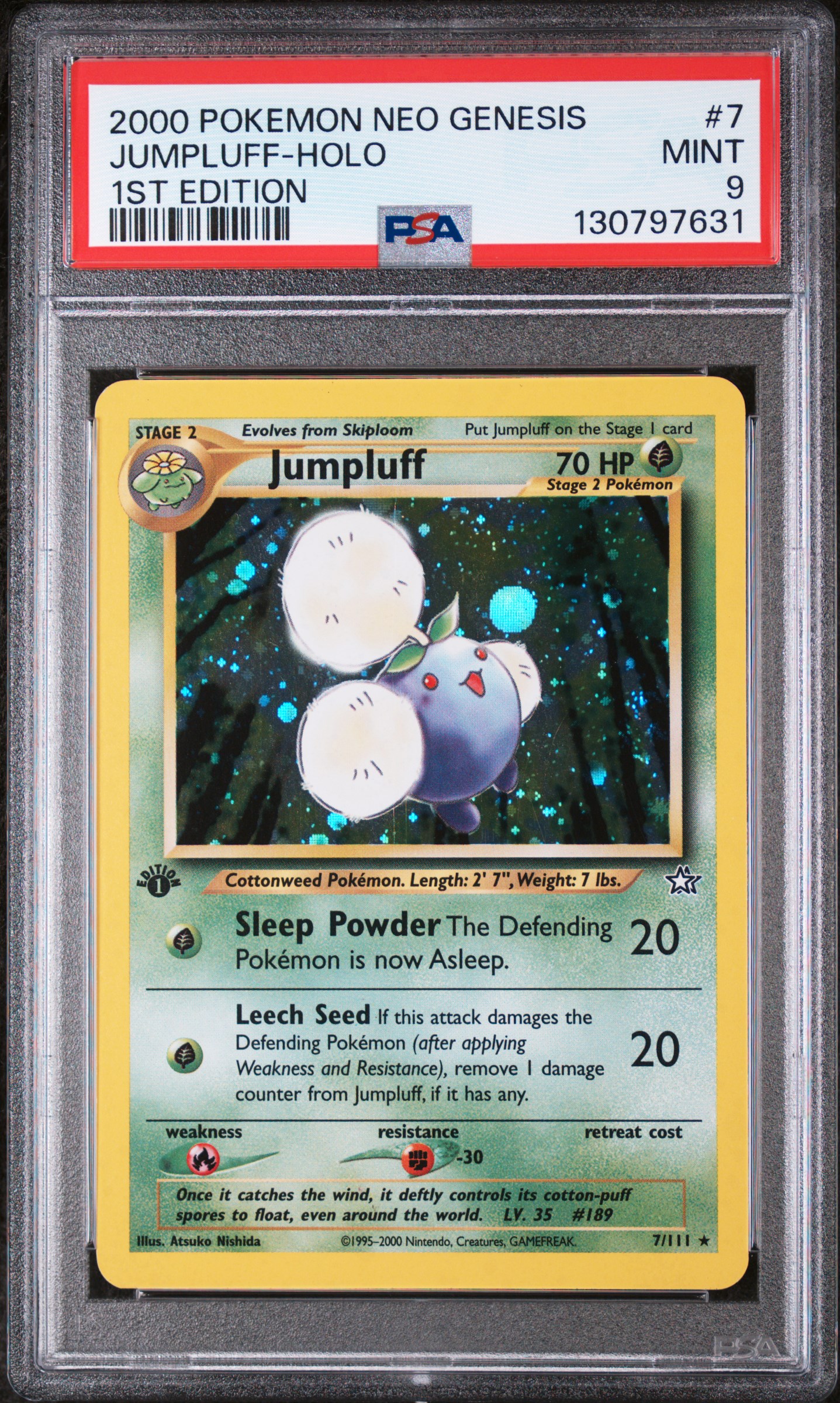 Jumpluff-Holo